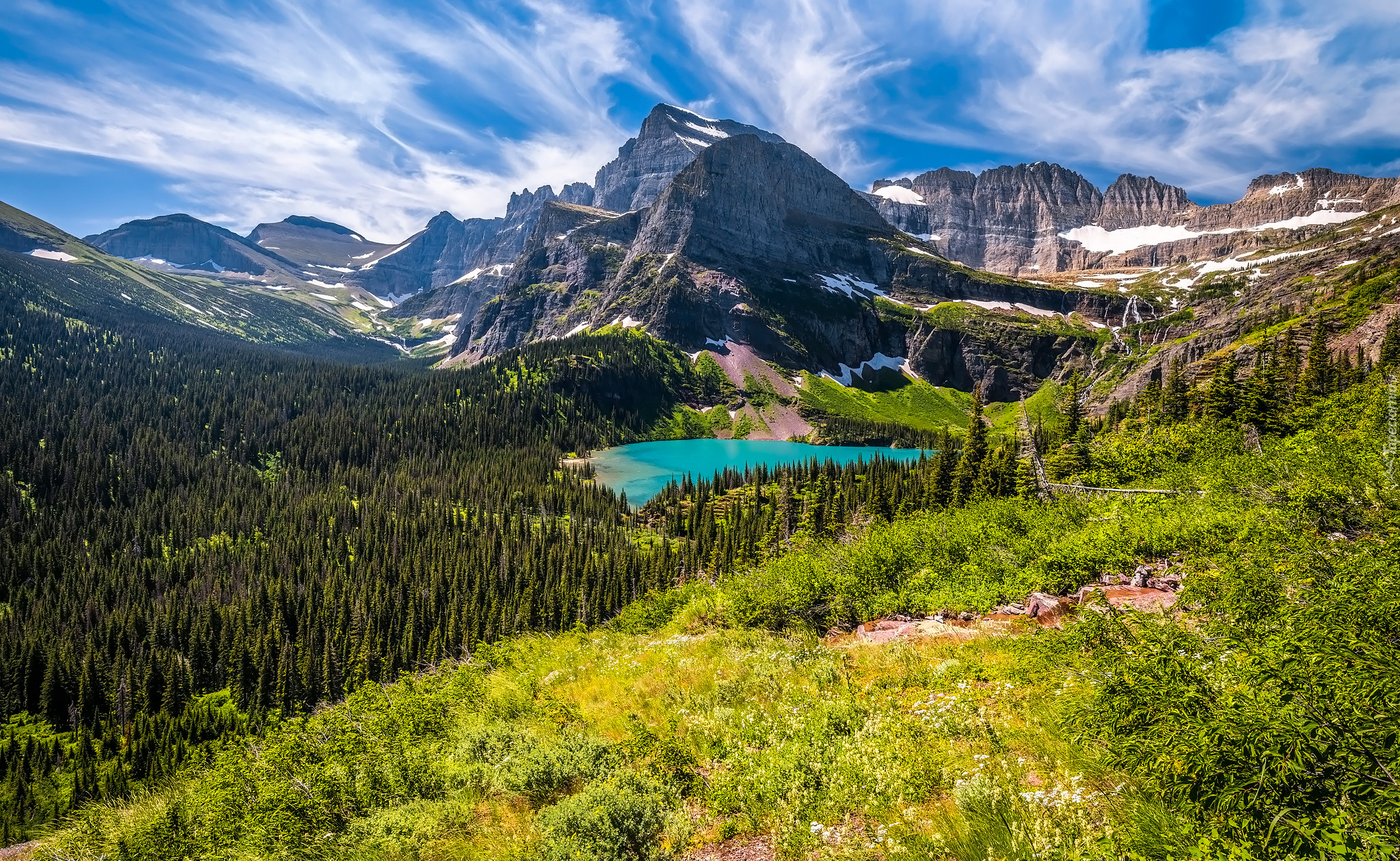 Park Narodowy Glacier, Montana, Stany Zjednoczone, Góry, Jezioro, Drzewa, Rośliny