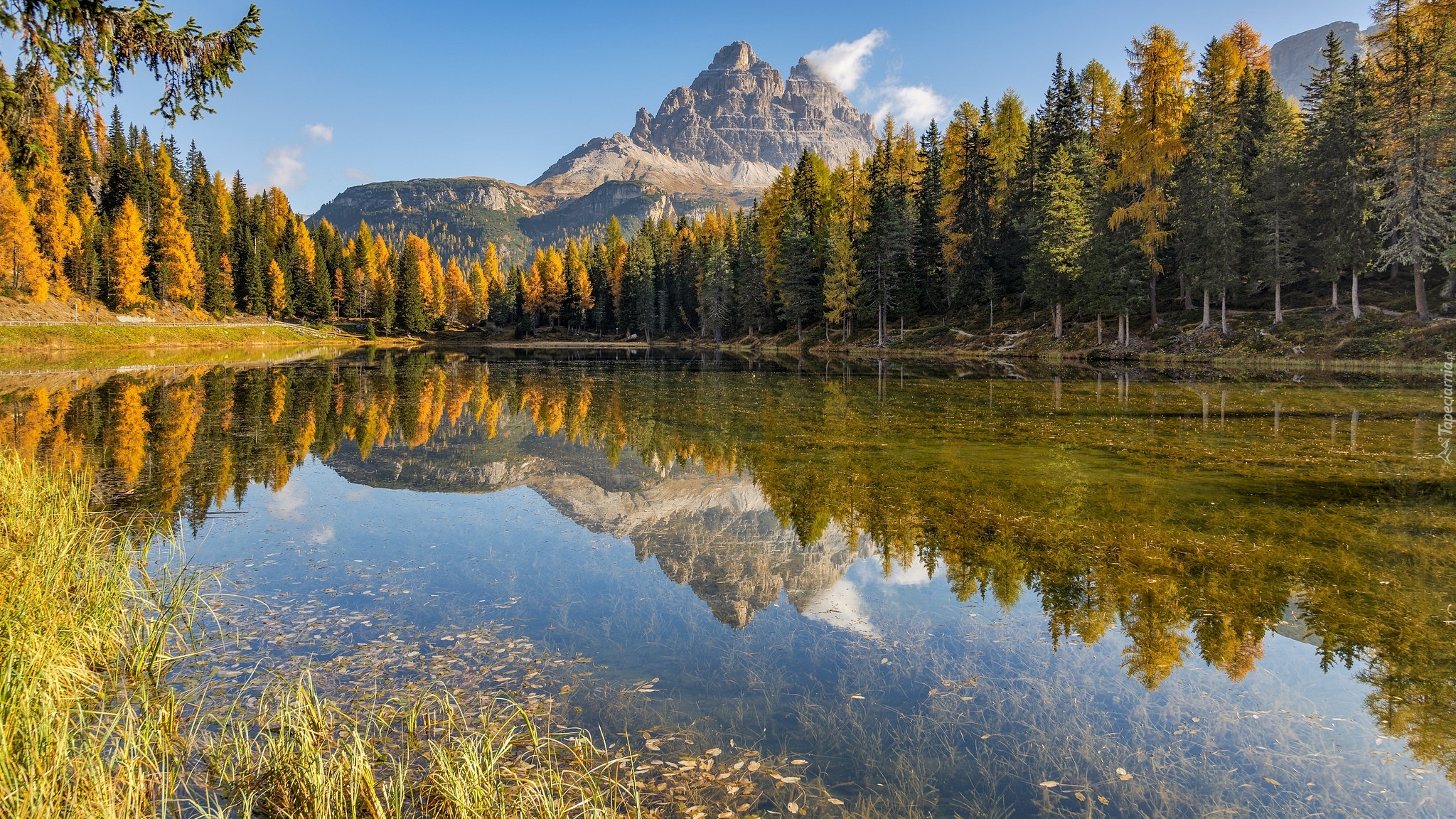 Włochy, Dolomity, Jezioro, Lago di Antorno, Góry, Las, Drzewa, Trawa