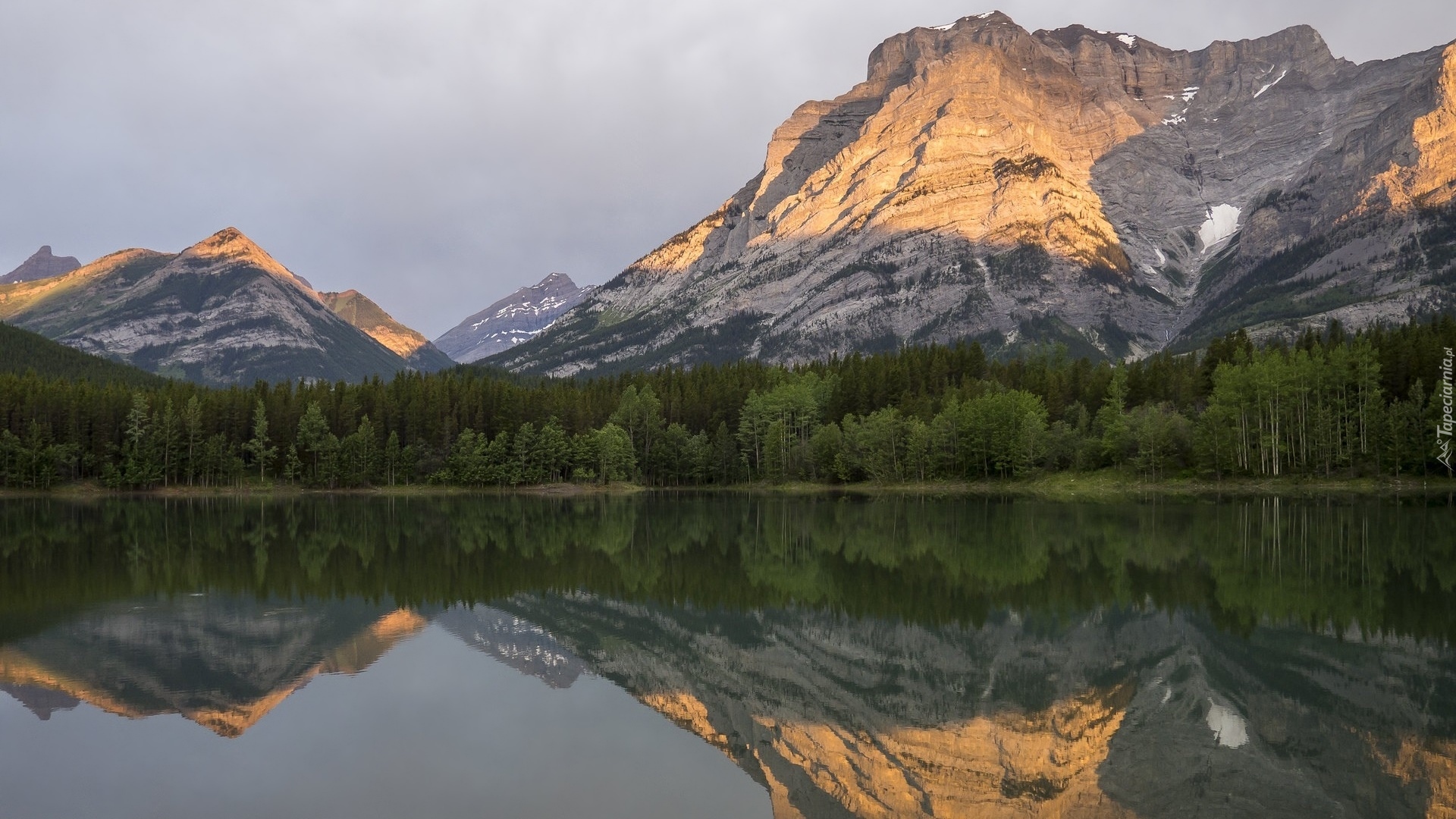 Góry, Jezioro, Wedge Pond, Drzewa, Odbicie, Alberta, Kanada