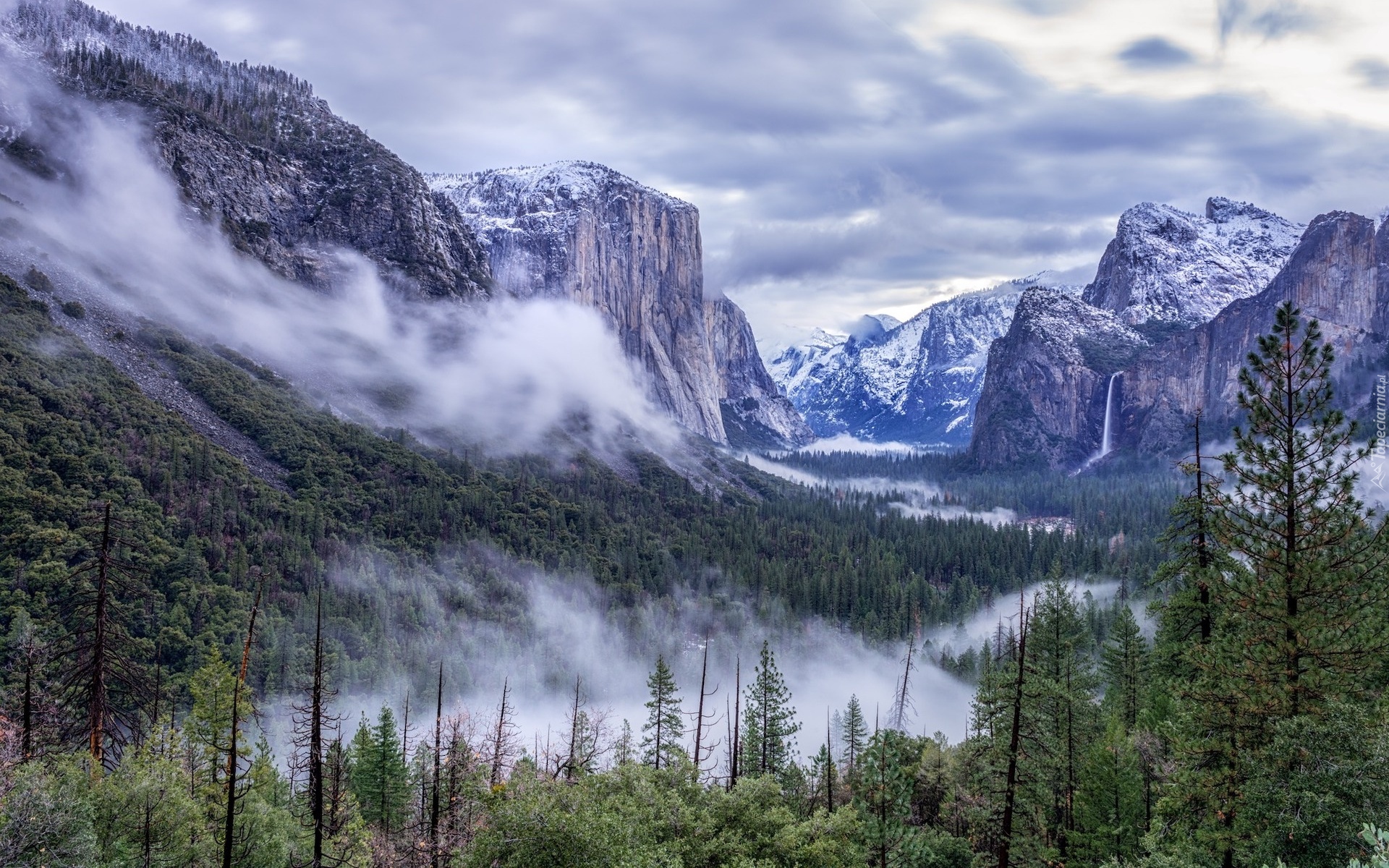 Stany Zjednoczone, Kalifornia, Park Narodowy Yosemite, Góry, Wodospad, Lasy, Drzewa, Mgła