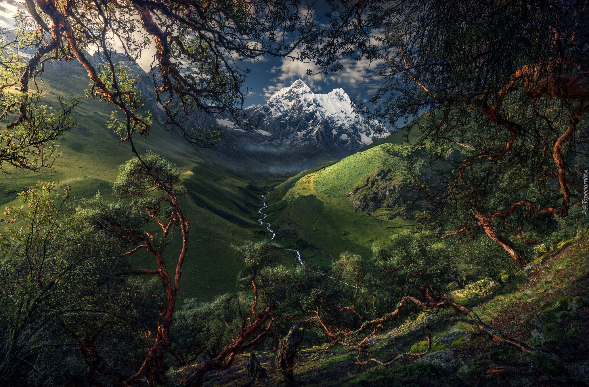 Drzewa, Góry, Kordyliera Biała, Rzeka, Dolina, Park Narodowy Huascaran, Peru