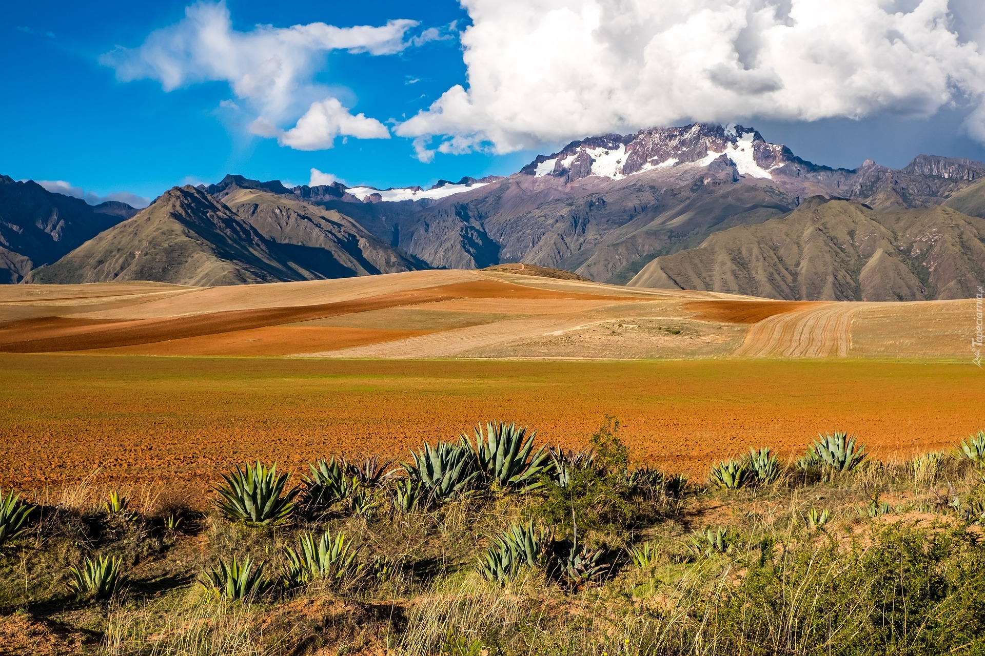 Boliwia, Peru, Granica, Region Cuzco, Góra