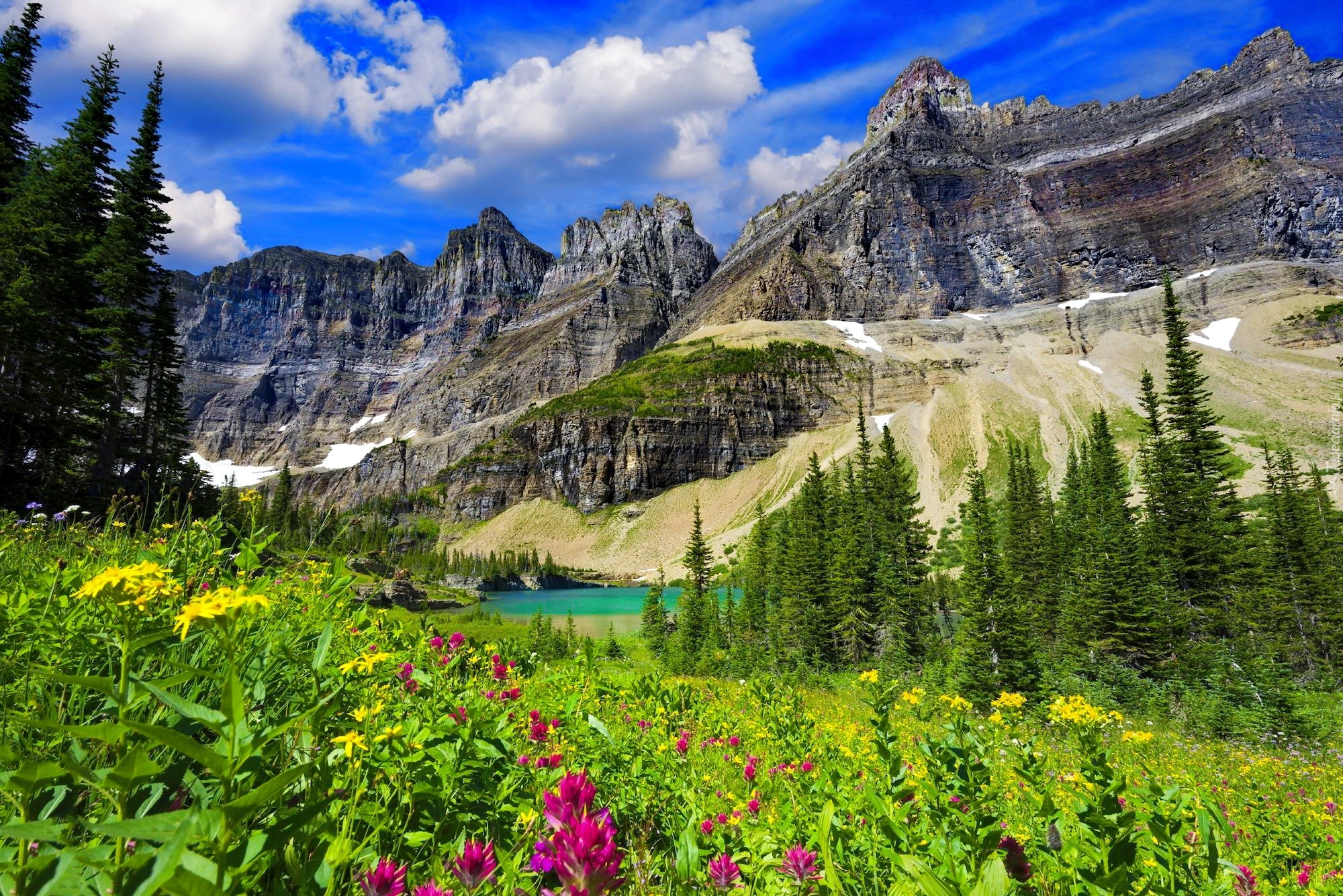 Góry, Jezioro Iceberg Lake, Park Narodowy Glacier, Drzewa, Świerki, Łąka, Kwiaty, Trawa, Niebo, Stan Montana, Stany Zjednoczone