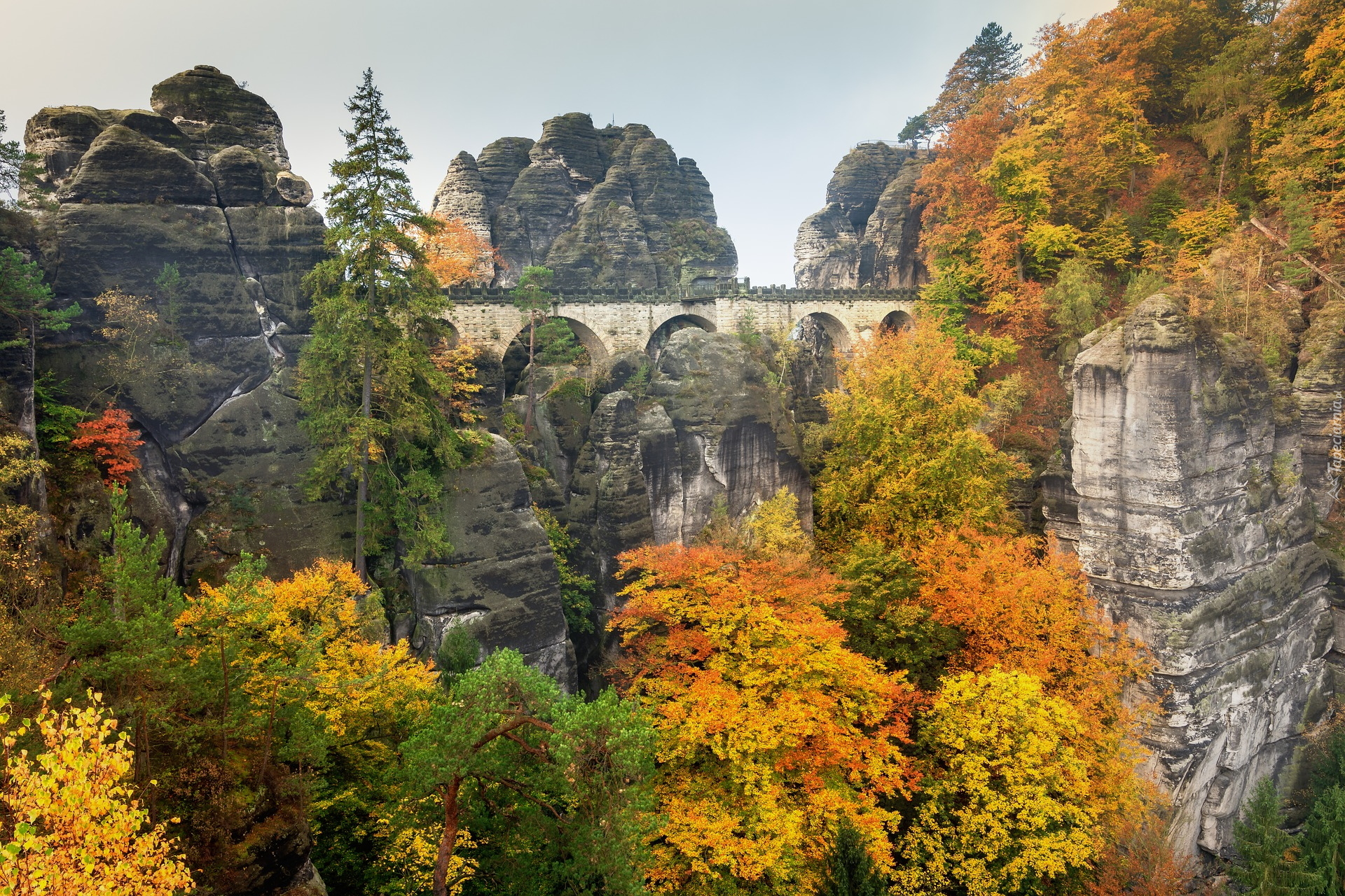 Jesień, Góry Połabskie, Drzewa, Most, Skały, Formacja skalna, Bastei, Park Narodowy Saskiej Szwajcarii, Niemcy