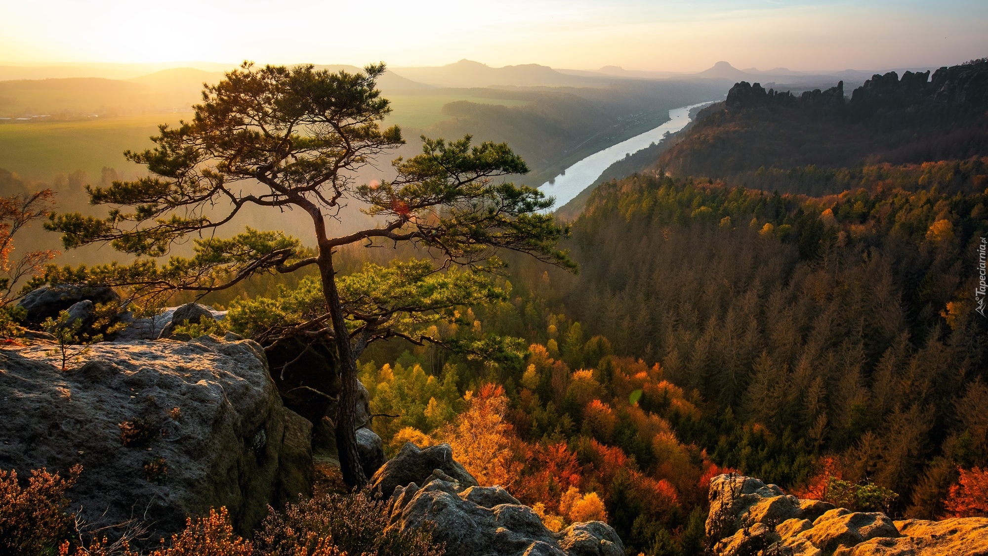 Park Narodowy Saskiej Szwajcarii, Góry Połabskie, Skały, Drzewo, Sosna, Jesień, Rzeka Łaba, Niemcy