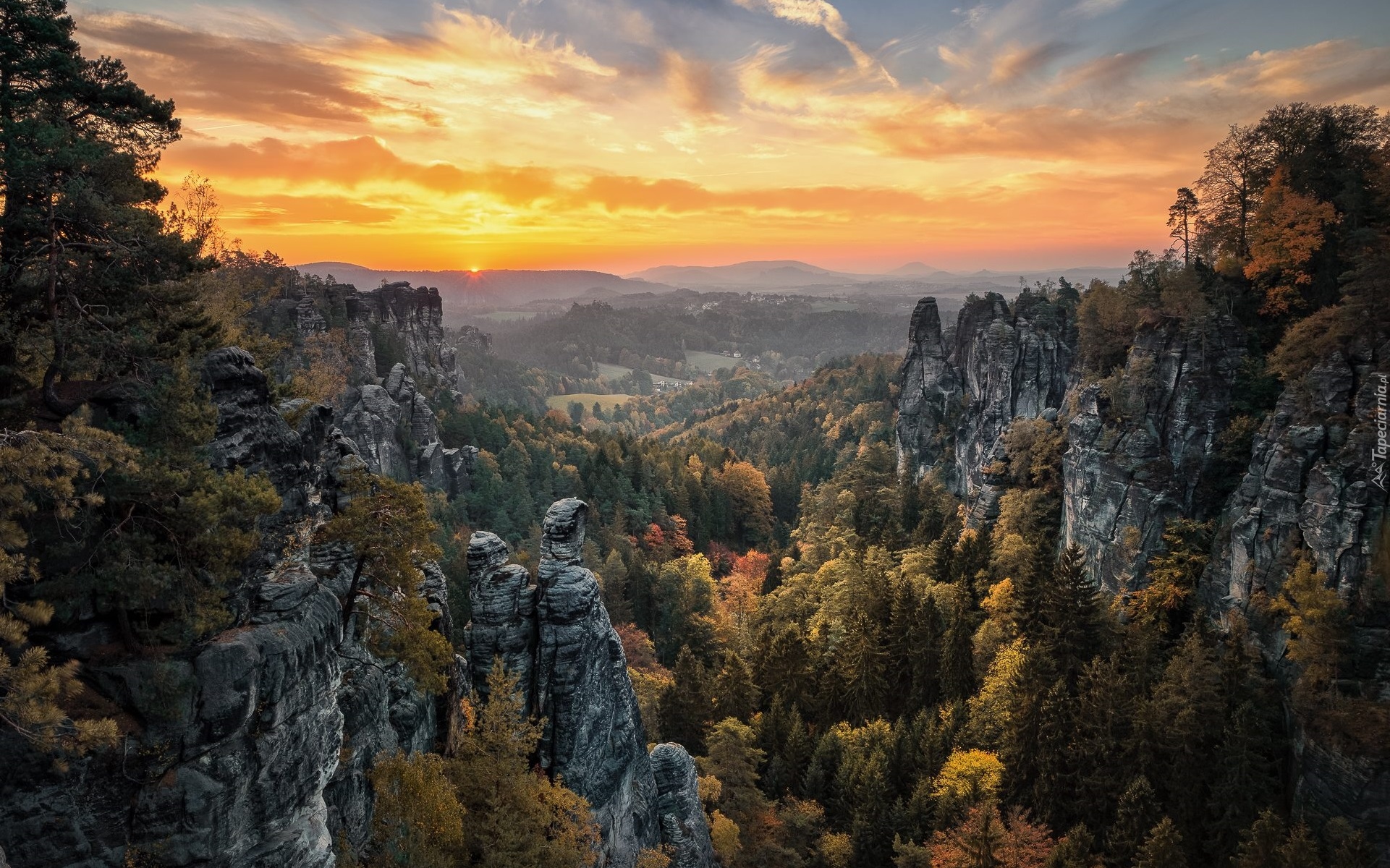 Drzewa, Las, Skały, Mgła, Zachód słońca, Góry Połabskie, Park Narodowy Saskiej Szwajcarii, Saksonia, Niemcy