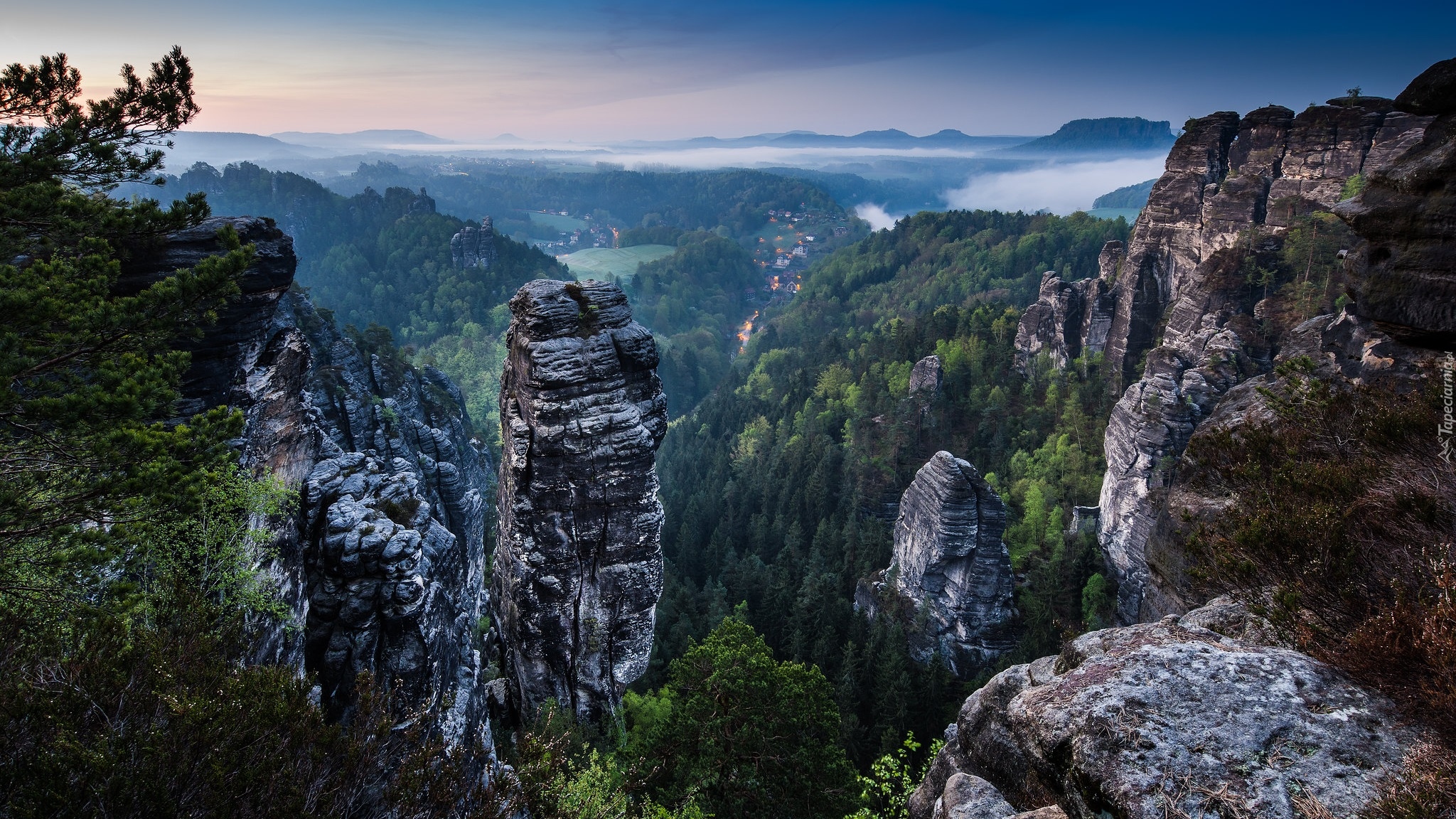 Niemcy, Park Narodowy Saskiej Szwajcarii, Góry Połabskie, Skały, Drzewa, Poranek