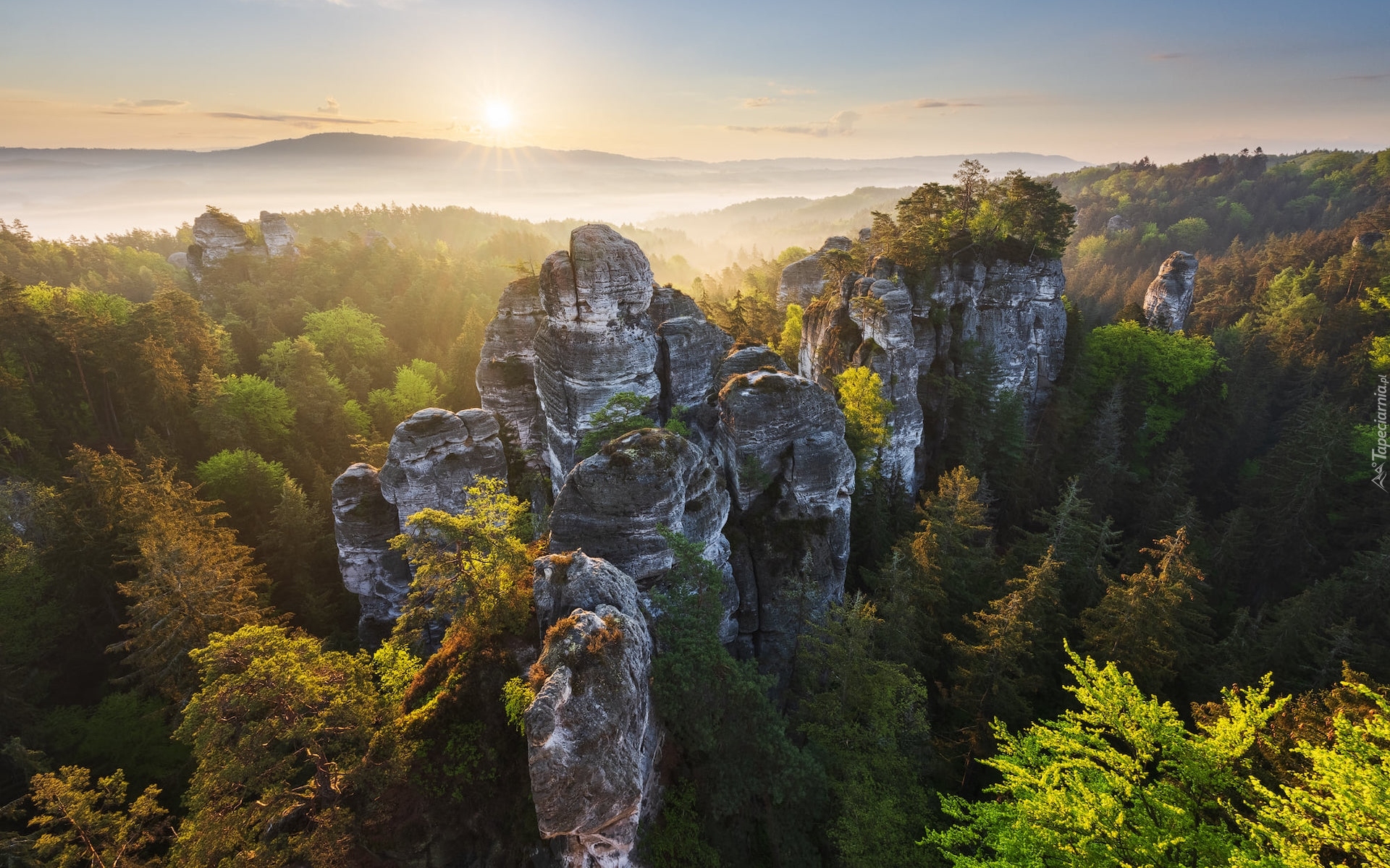 Park Narodowy Saskiej Szwajcarii, Skały, Góry Połabskie, Niemcy, Lasy, Drzewa, Wschód słońca