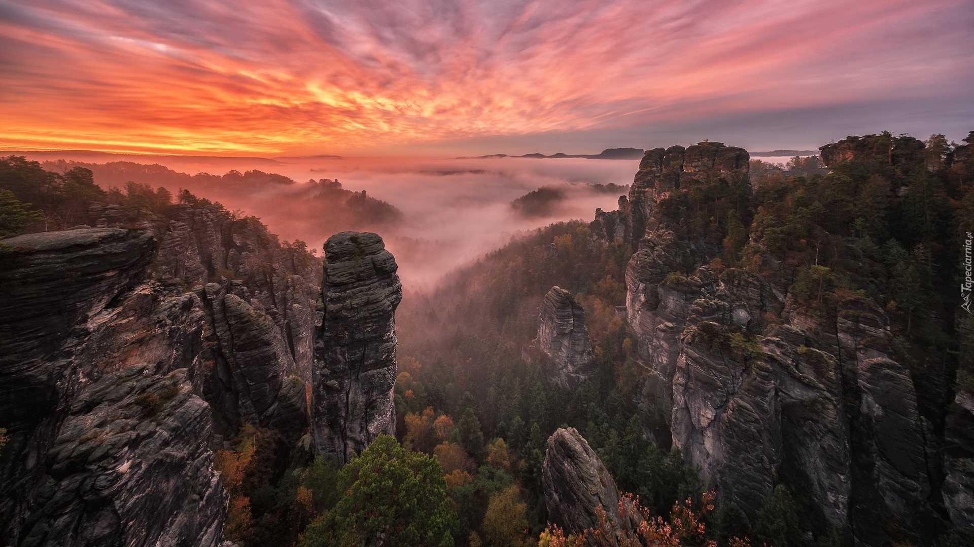 Góry Połabskie, Skały, Drzewa, Zachód słońca, Mgła, Park Narodowy Saskiej Szwajcarii, Niemcy