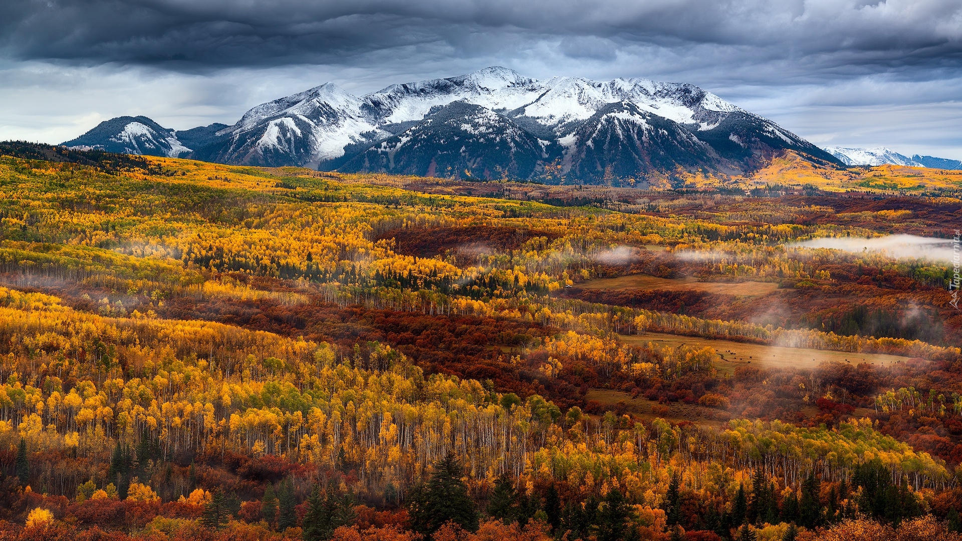 Stany Zjednoczone, Rocky Mountains, Góry Skaliste, Jesień, Lasy, Drzewa, Roślinność, Mgła