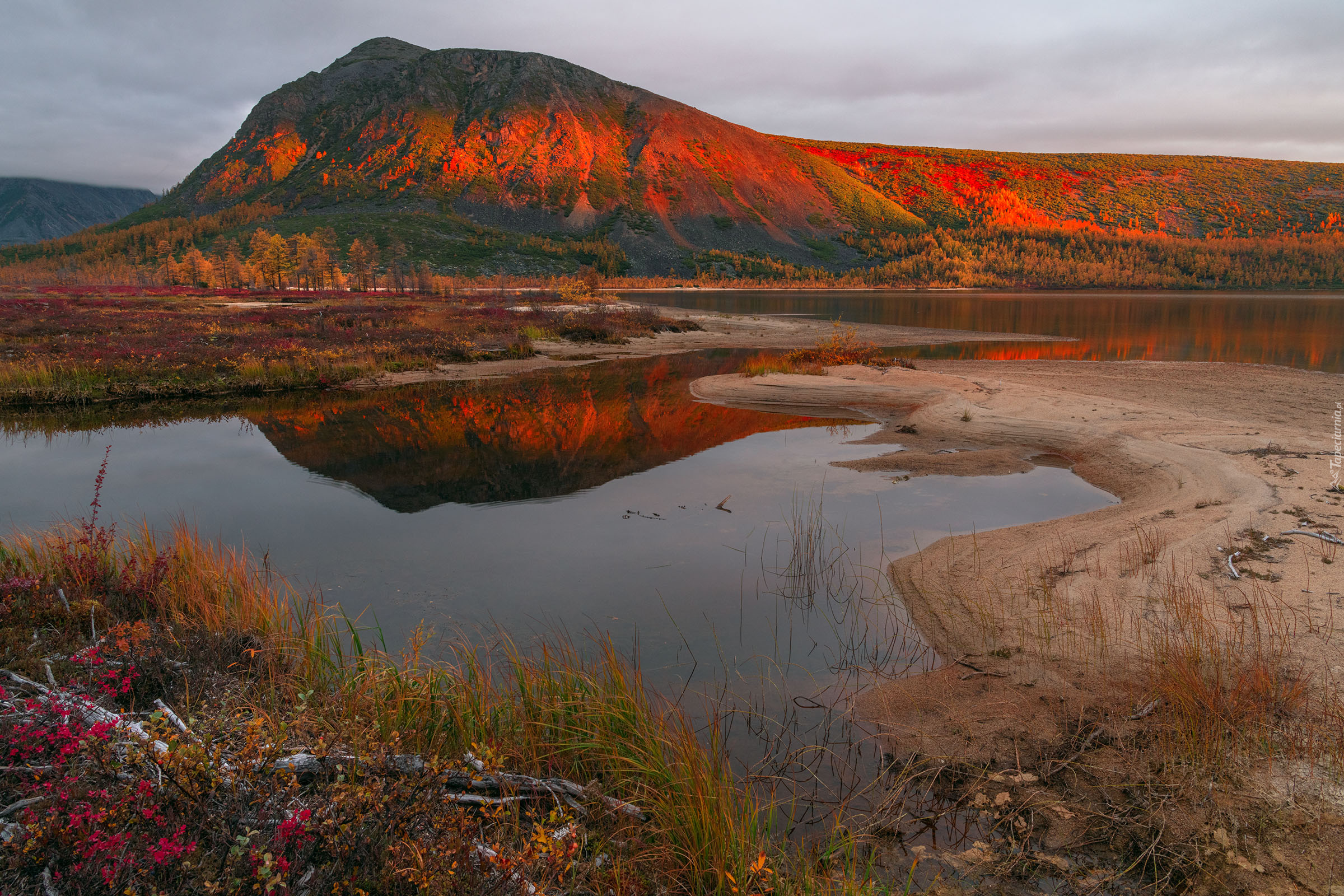 Góry Kołymskie, Drzewa, Jezioro Jack London, Kołyma, Magadan, Rosja