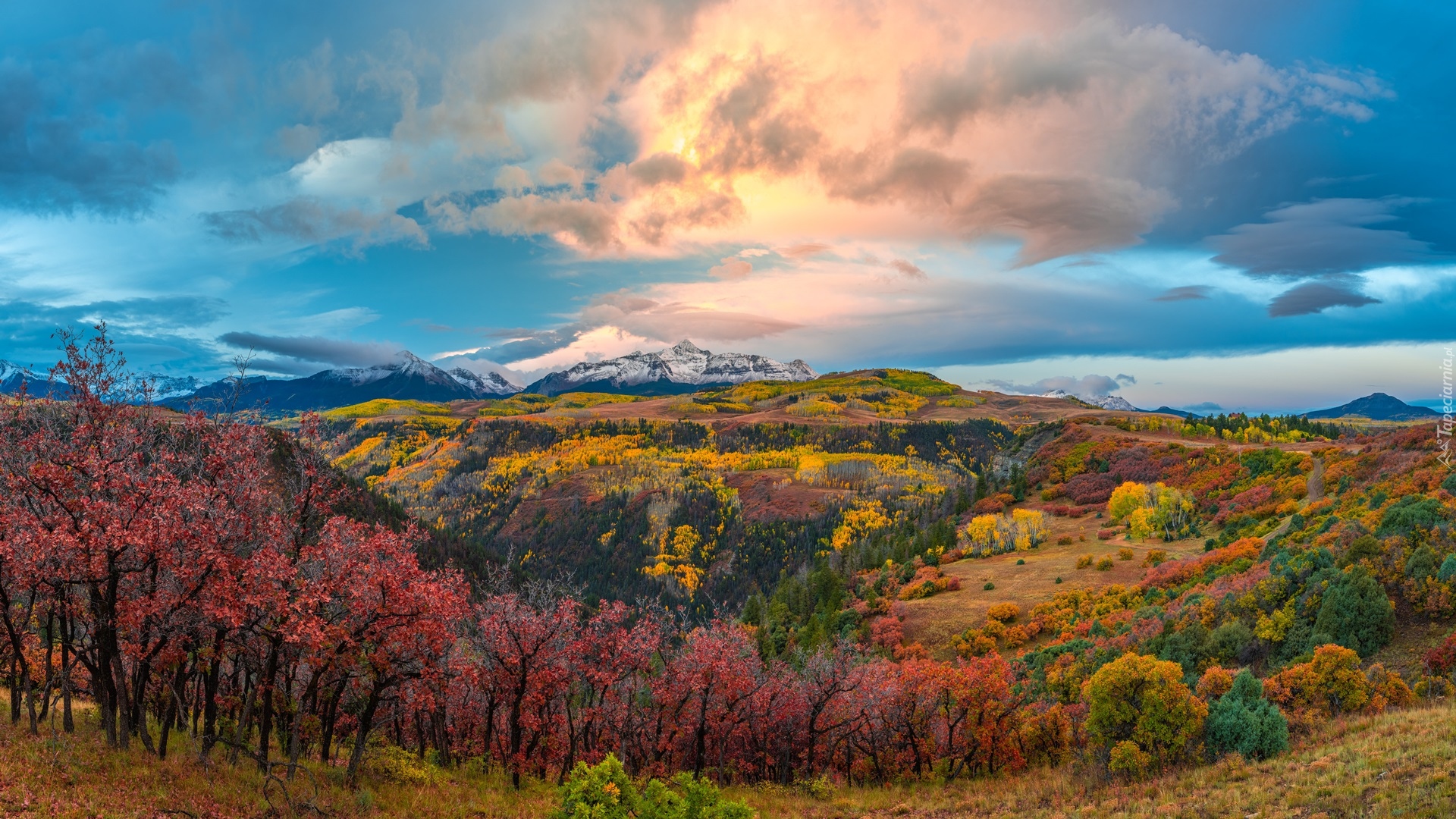 Góry, San Juan Mountains, Las, Drzewa, Jesień, Chmury, Kolorado, Stany Zjednoczone