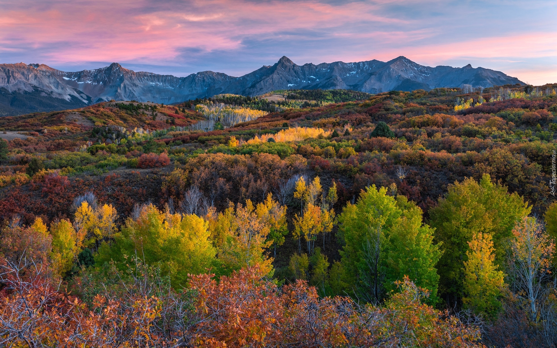 Stany Zjednoczone, Stan Kolorado, Telluride, Las, Jesień, Góry, San Juan Mountains, Roślinność, Kolorowa, Drzewa, Krzewy