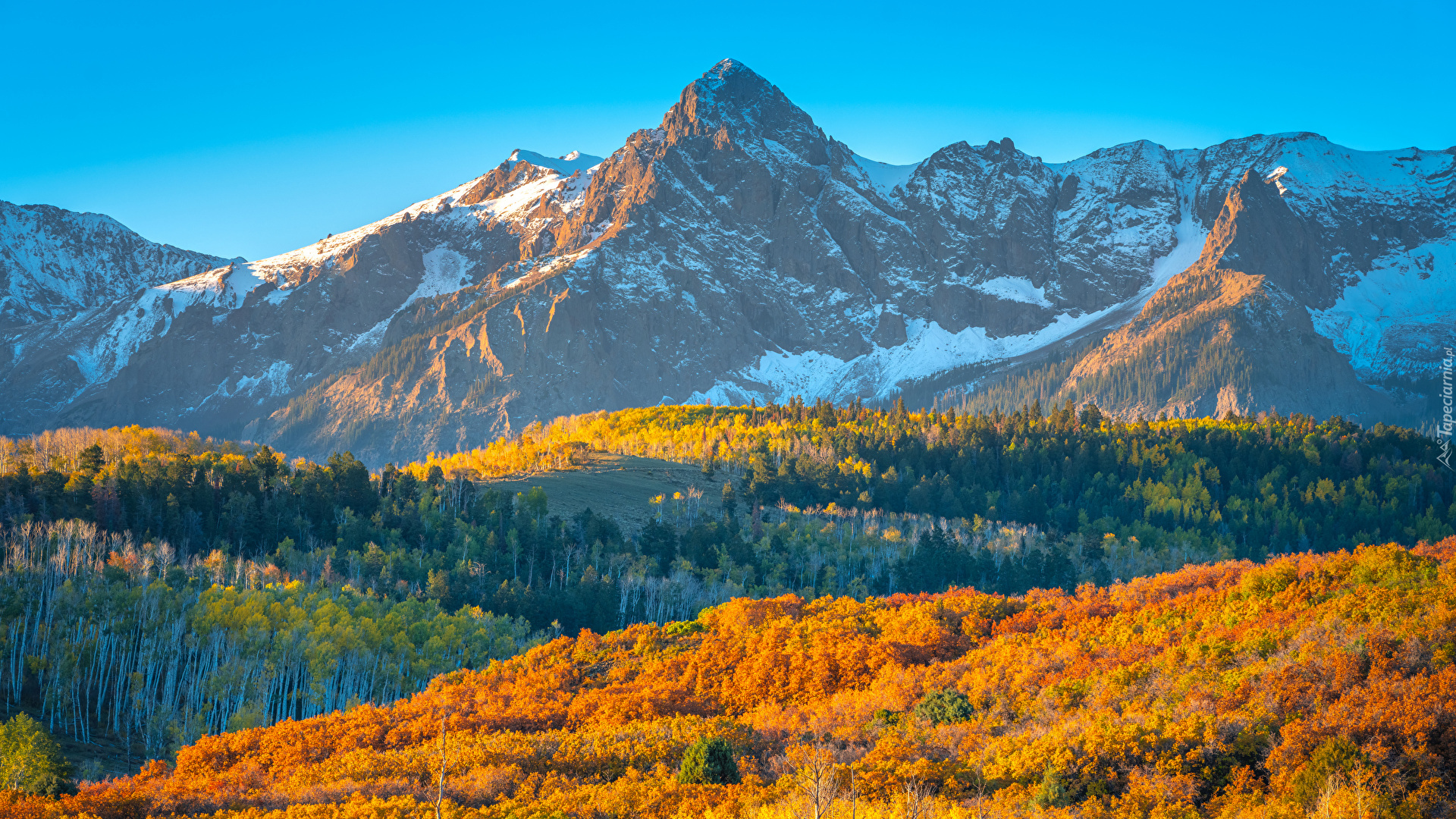 Jesień, Góry, San Juan Mountains, Lasy, Kolorowe, Drzewa, Słoneczny, Dzień, Stan Kolorado, Stany Zjednoczone