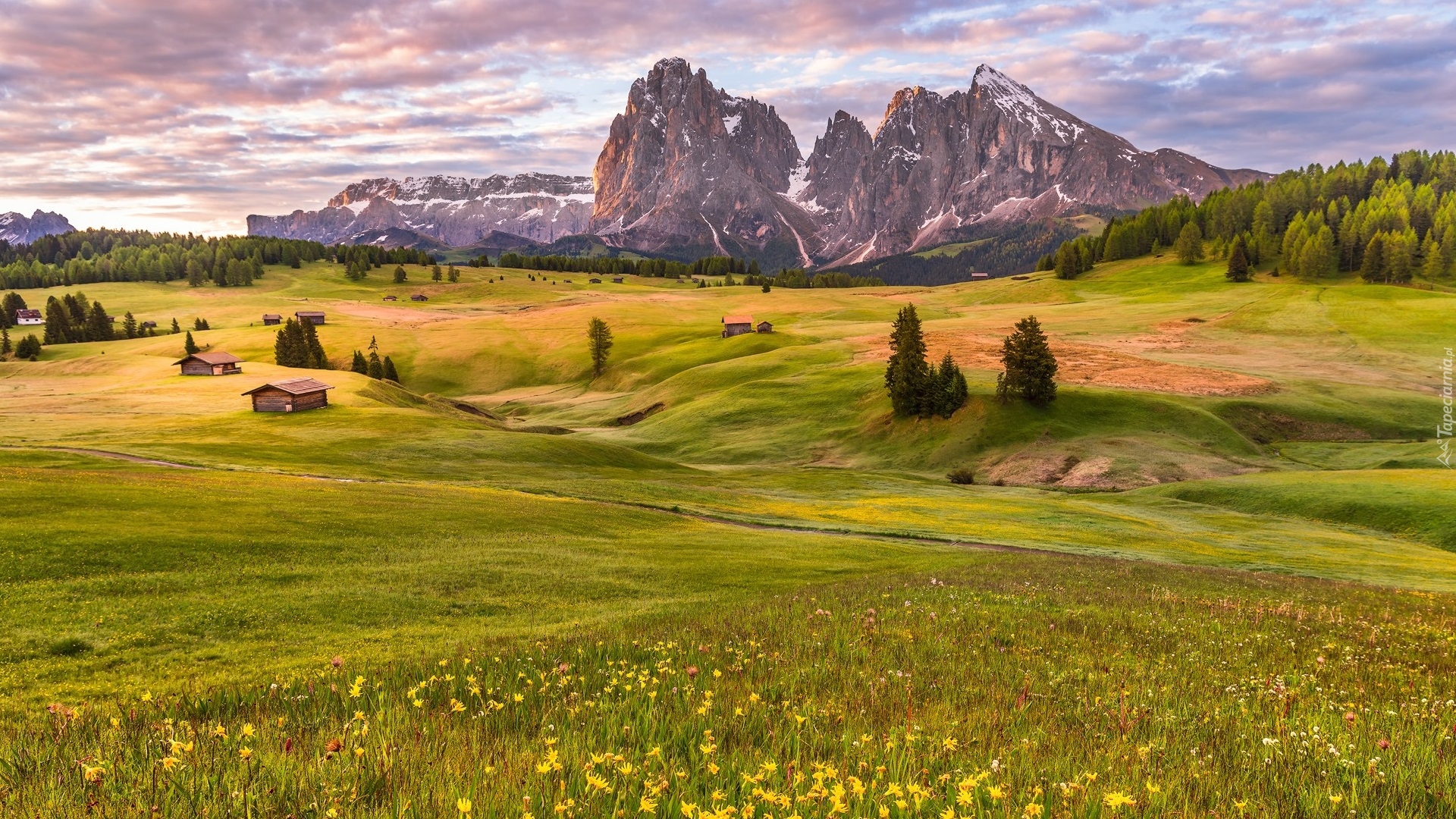 Dolina Val Gardena, Góry Sassolungo, Dolomity, Płaskowyż Seiser Alm, Domki, Łąki, Drzewa, Chmury, Włochy