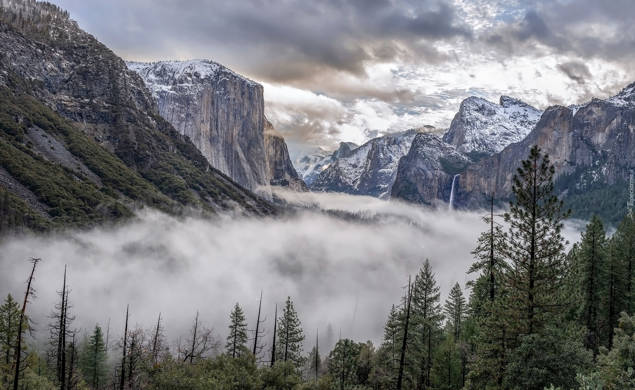 Góry, Drzewa, Mgła, Chmury, Park Narodowy Yosemite, Kalifornia, Stany Zjednoczone