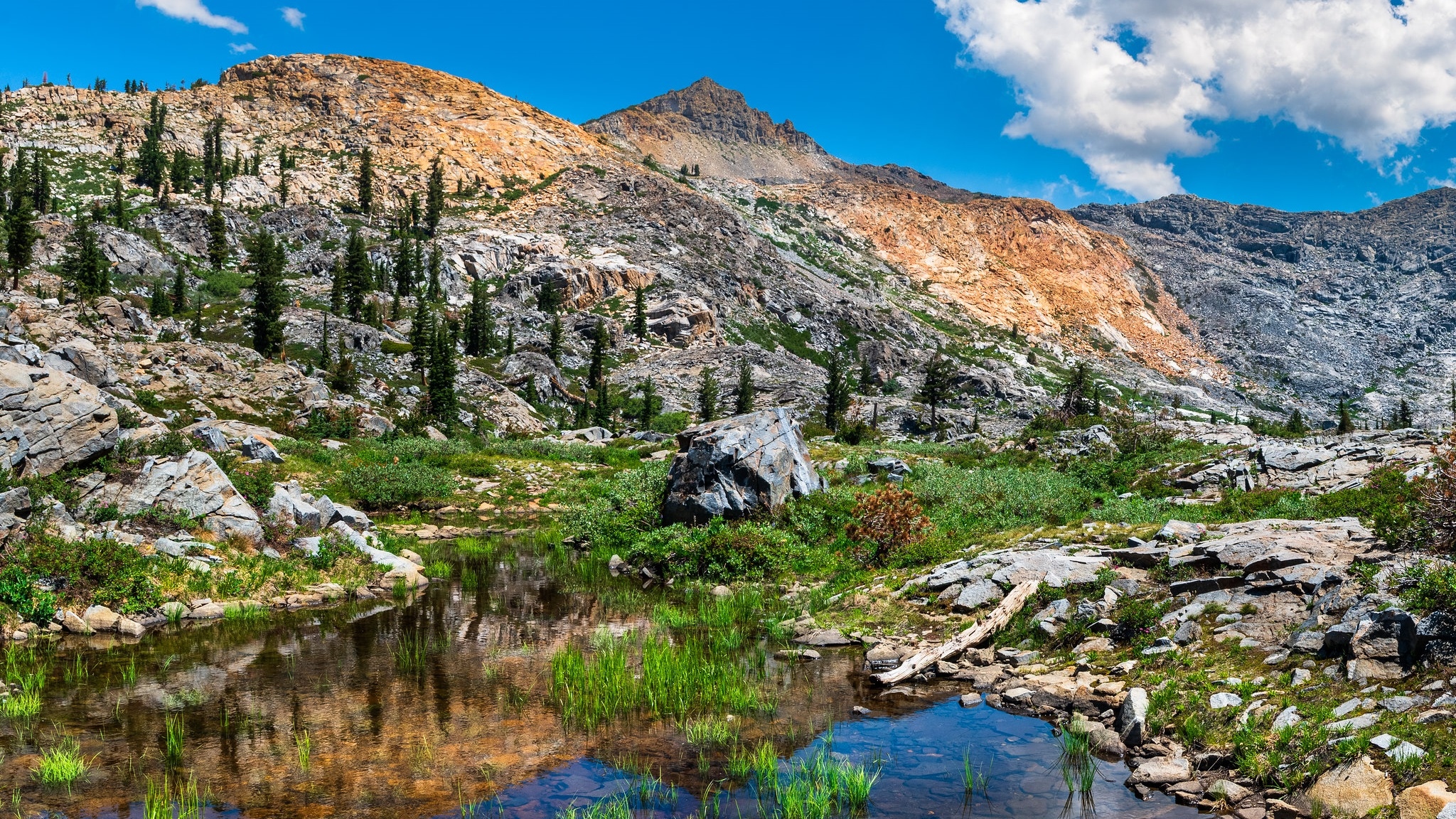 Góry, Sierra Nevada Mountains, Staw, Drzewa, Kamienie, South Lake Tahoe, Kalifornia, Stany Zjednoczone