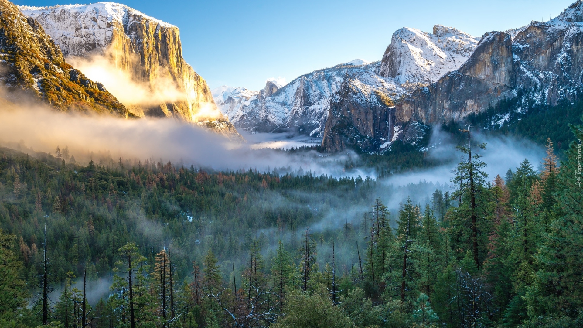 Stany Zjednoczone, Stan Kalifornia, Park Narodowy Yosemite, Góry Sierra Nevada, Mgła, Chmury