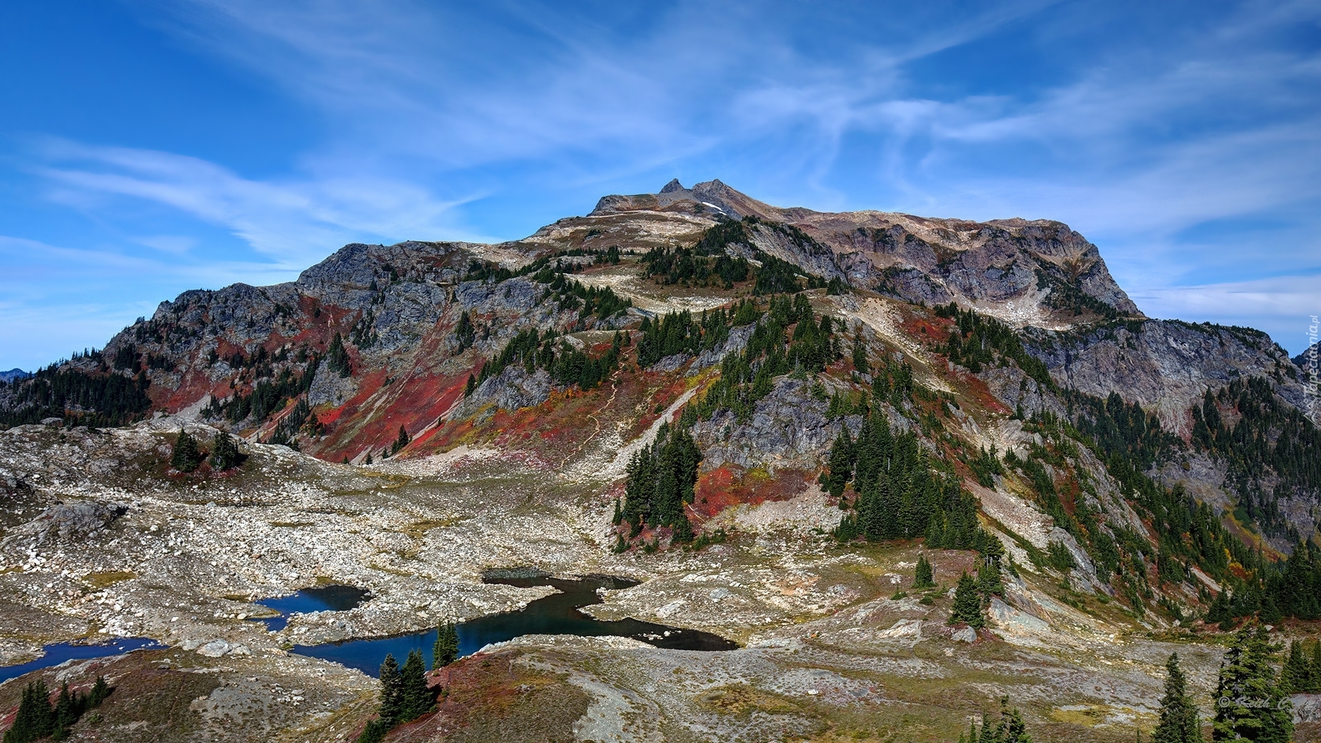 Góry, Skagit Range, Góra Tomyhoi Peak, Drzewa, Jezioro, Stany Zjednoczone