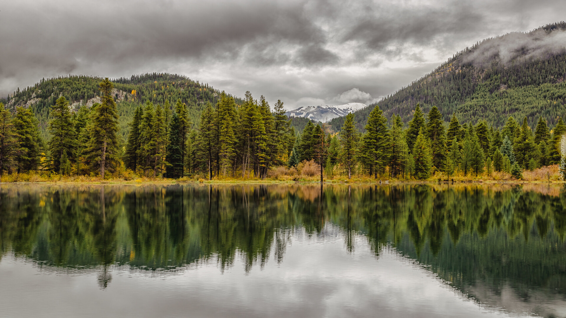 Jesień, Góry, Skaliste, Jezioro, Officers Gulch Pond, Kolorado, Stany Zjednoczone