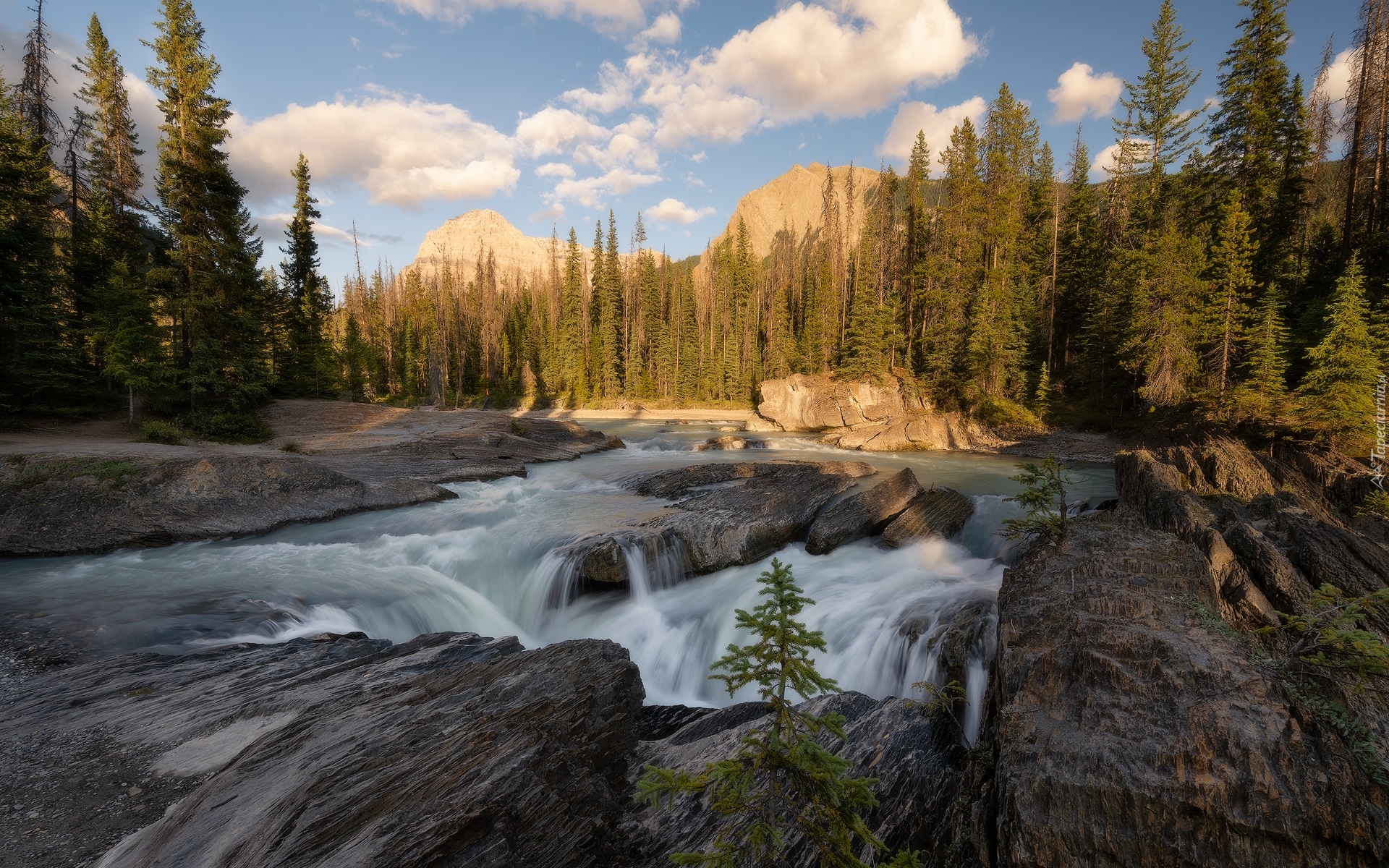 Park Narodowy Yoho, Rzeka, Kicking Horse River, Góry Skaliste, Drzewa, Skały, Chmury, Kolumbia Brytyjska, Kanada