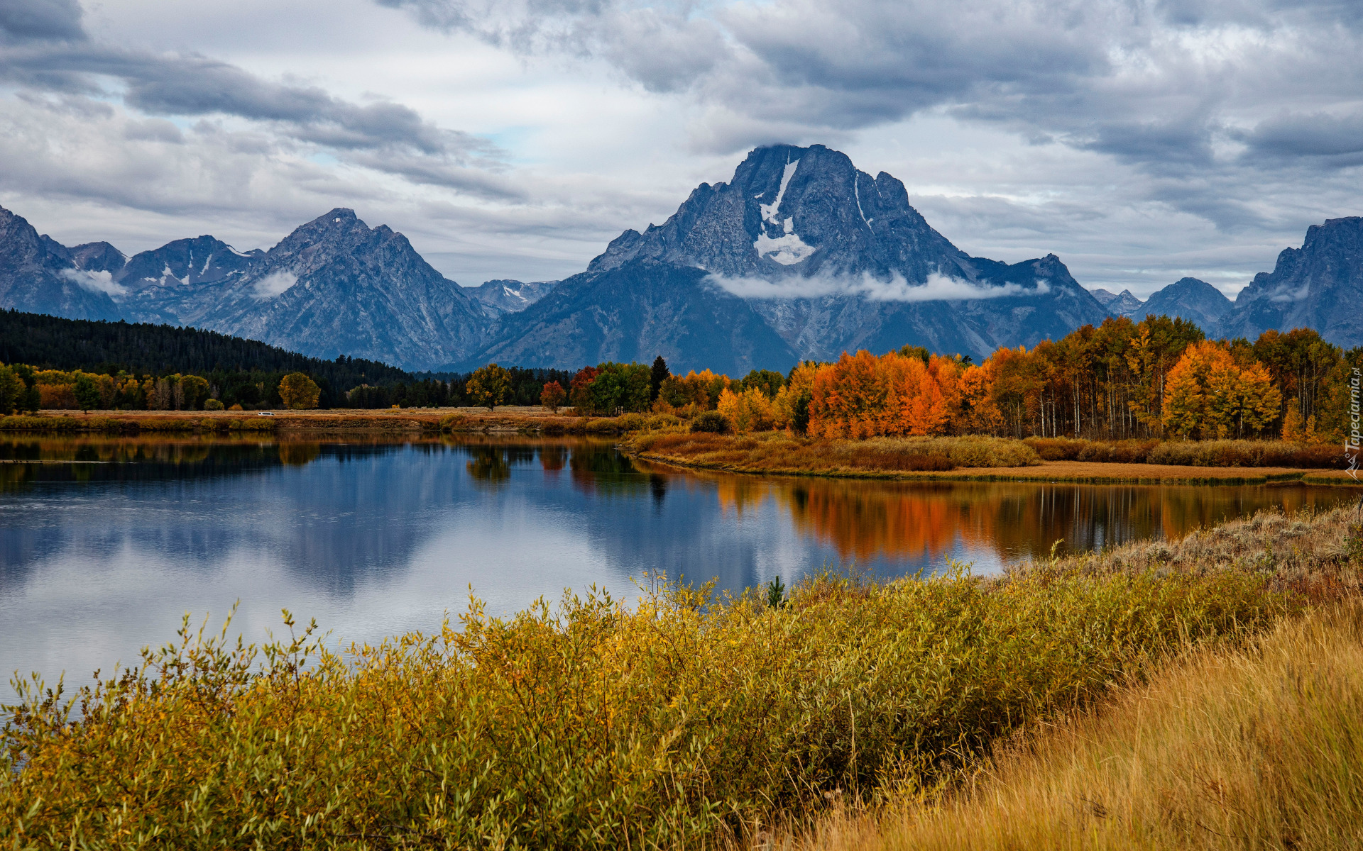 Park Narodowy Grand Teton, Góry Skaliste, Rzeka, Snake River, Krzewy, Las, Drzewa, Jesień, Stan Wyoming, Stany Zjednoczone