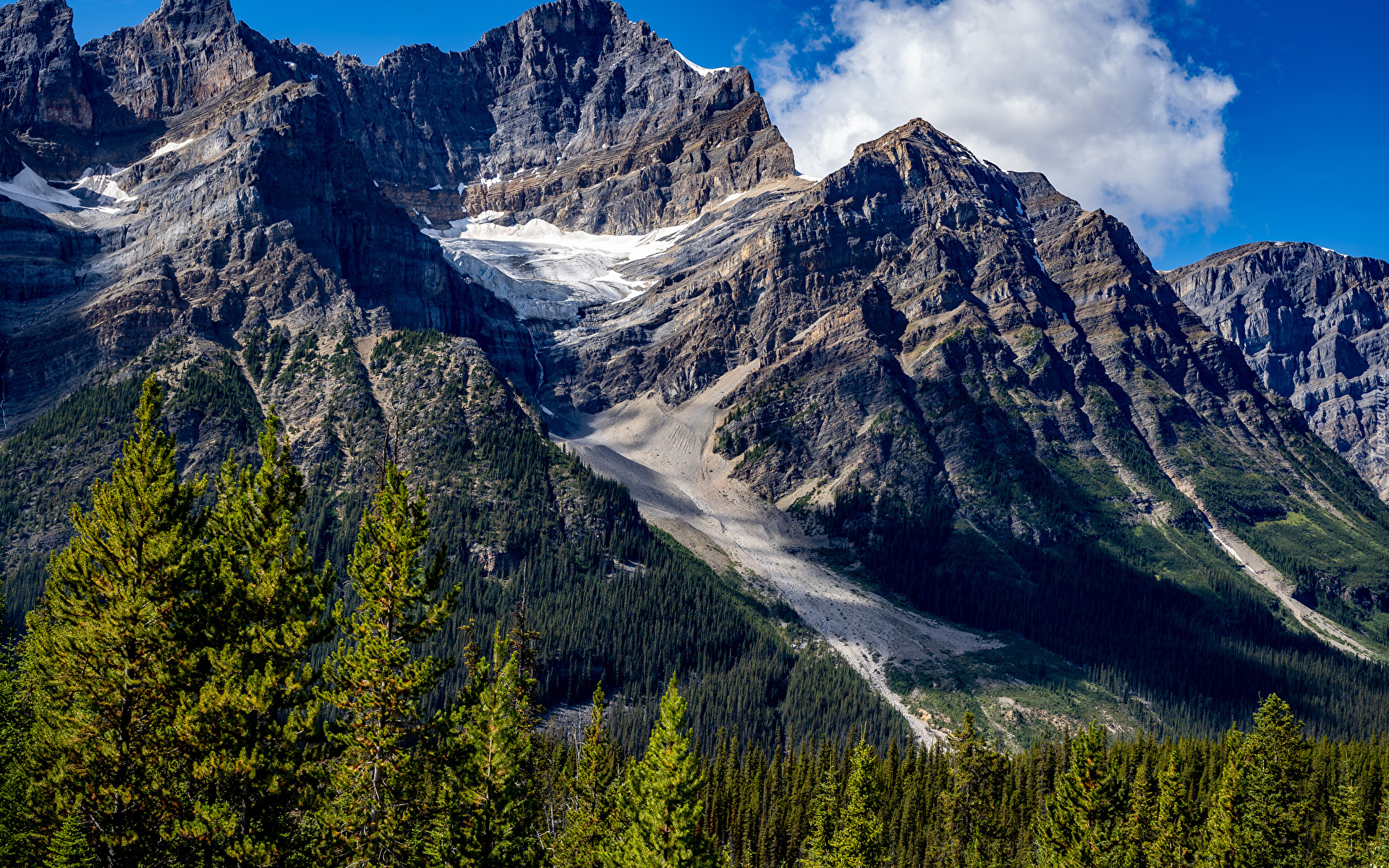 Góry Skaliste, Lasy, Drzewa, Park Narodowy Banff, Prowincja Alberta, Kanada