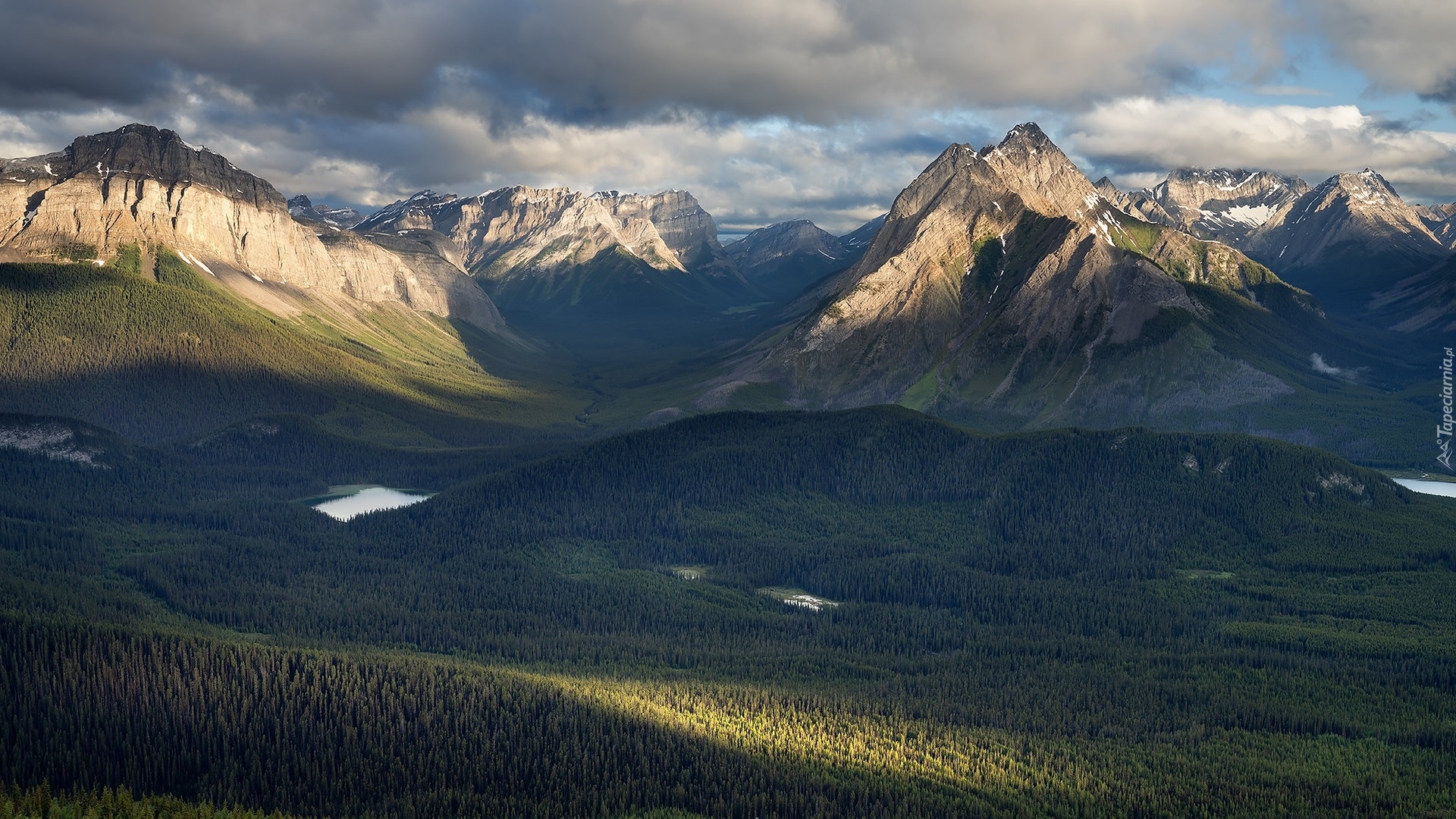 Góry Skaliste, Rzeka, Jeziora, Lasy, Alberta, Kanada