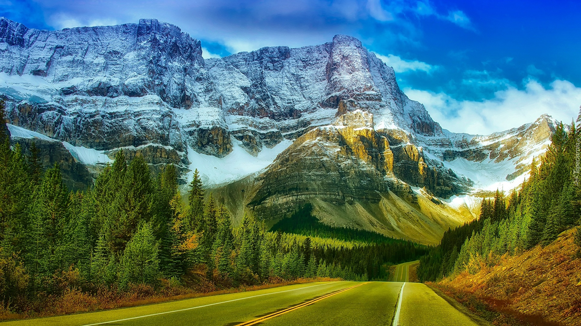 Góry Skaliste, Las, Drzewa, Droga, Park Narodowy Banff, Alberta, Kanada