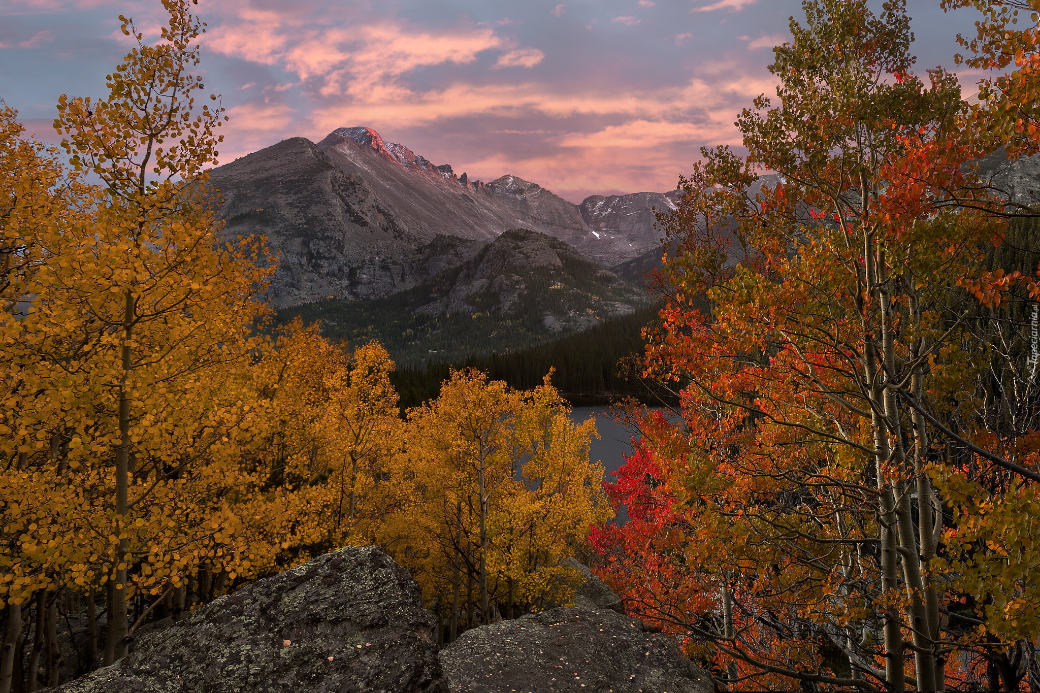 Jesień, Góry Skaliste, Park Narodowy Gór Skalistych, Jezioro Bear Lake, Drzewa, Kolorado, Stany Zjednoczone