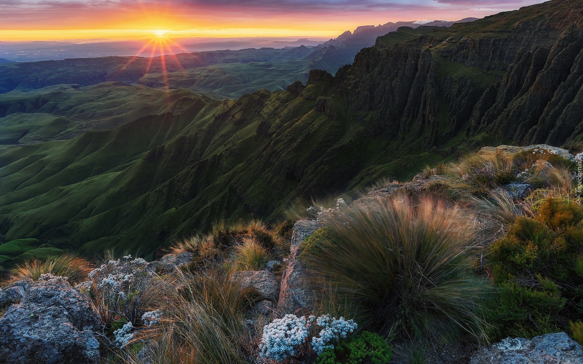 Góry Smocze, Wschód słońca, Skały, Roślinność, Republika Południowej Afryki