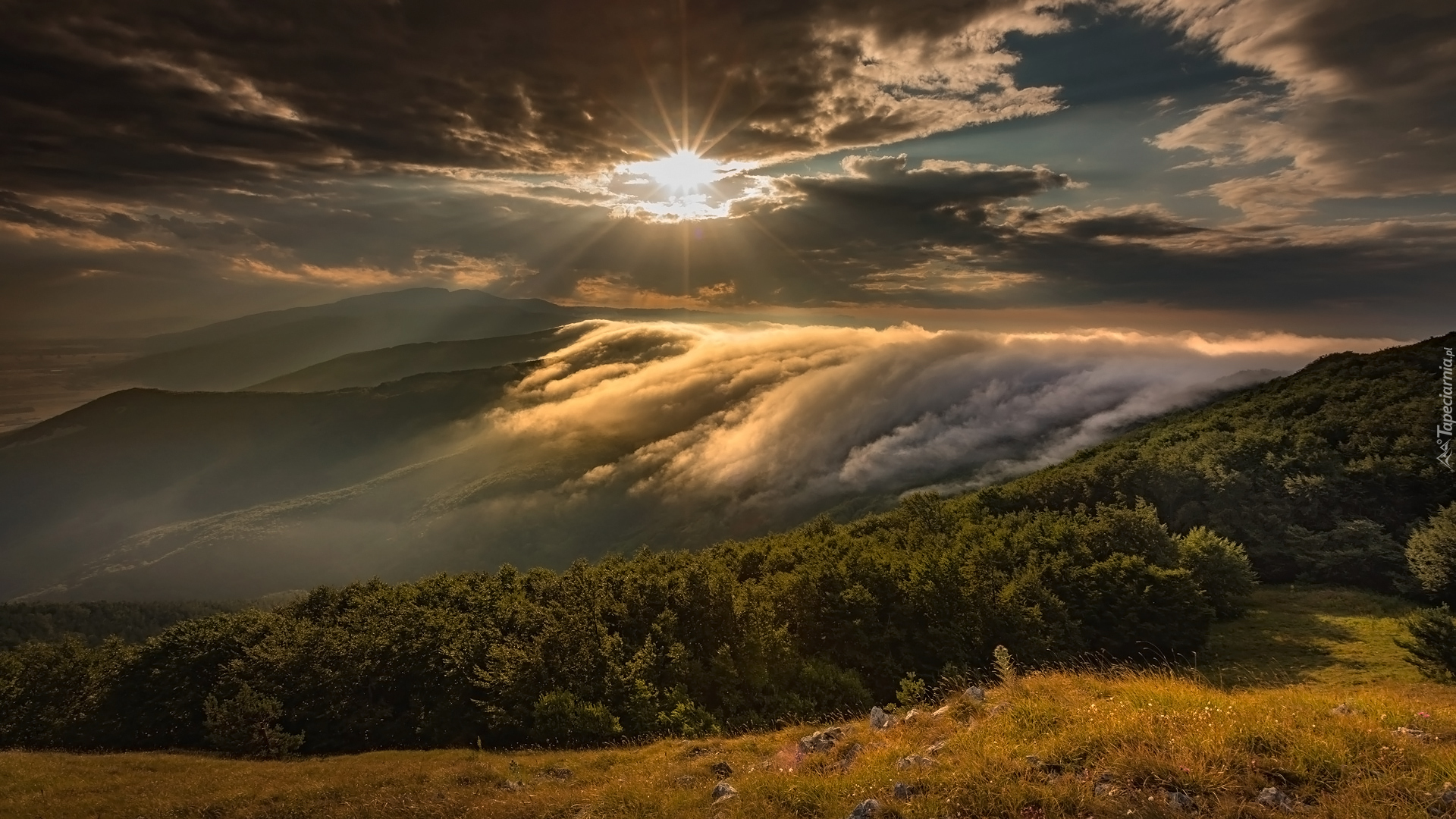 Góry, Stara Płanina, Drzewa, Mgła, Chmury, Promienie słońca, Gabrowo, Bułgaria
