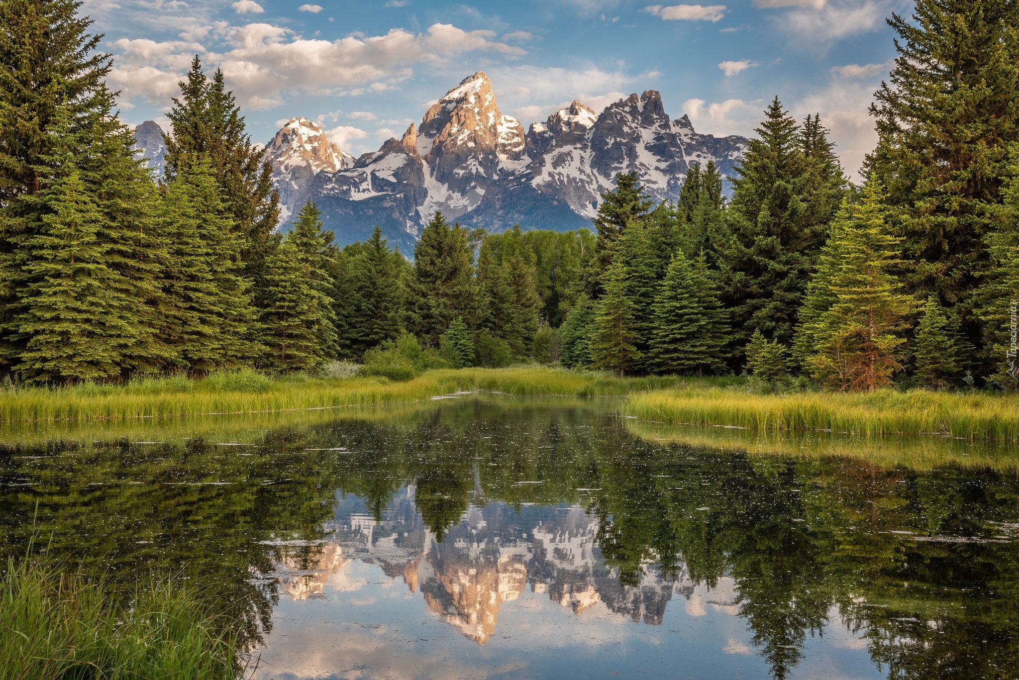 Park Narodowy Grand Teton, Rzeka Snake River, Góry Teton Range, Las, Drzewa, Chmury, Odbicie, Stan Wyoming, Stany Zjednoczone