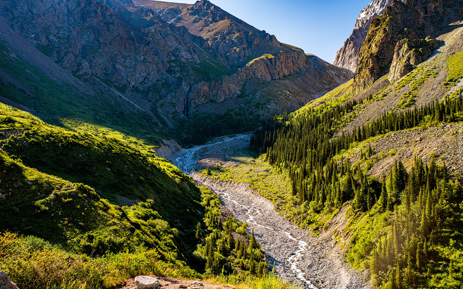 Góry Tienszan, Skała, Potok, Kamienie, Drzewa, Roślinność, Słoneczny, Dzień, Park Narodowy Ala Archa, Kirgistan
