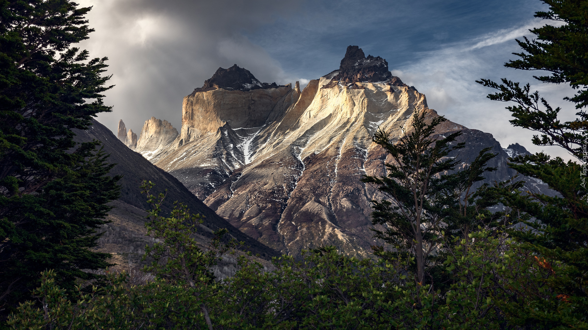 Park Narodowy Torres Del Paine, Góry, Cordillera del Paine, Masyw Torres del Paine, Rzeka, Skała, Drzewo, Patagonia, Chile