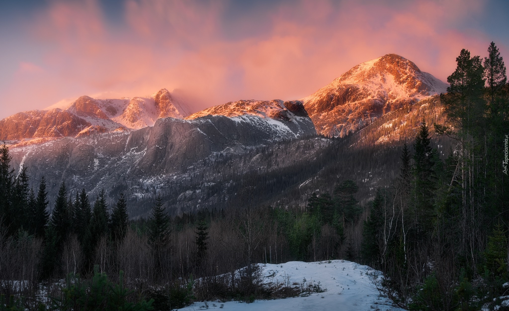 Norwegia, Region Austlandet, Gmina Hemsedal, Hemsedal Top 20 Góry, Drzewa, Różowe, Niebo