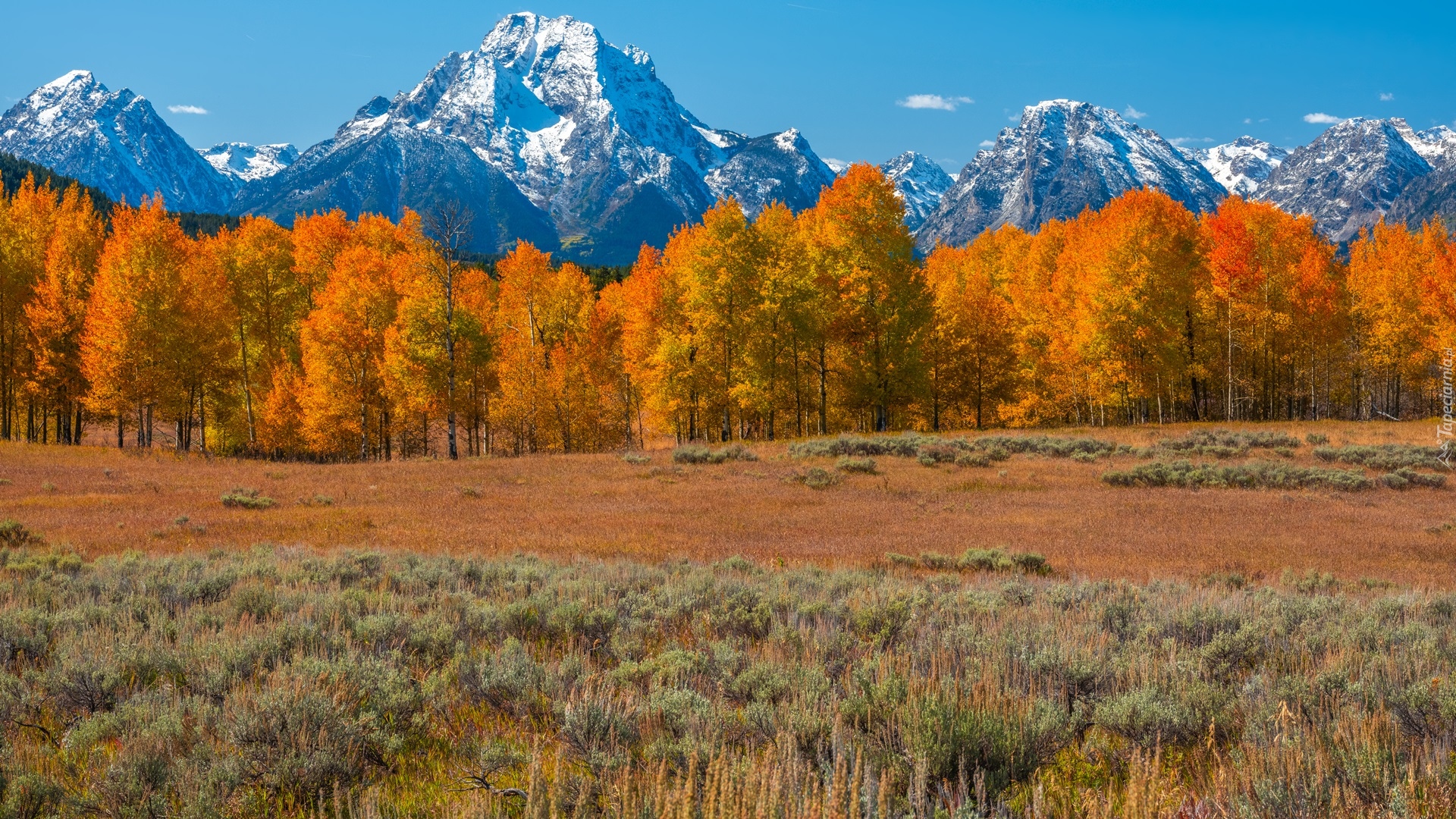 Jesień, Park Narodowy Grand Teton, Góry, Teton Range, Pożółkłe, Drzewa, Stan Wyoming, Stany Zjednoczone