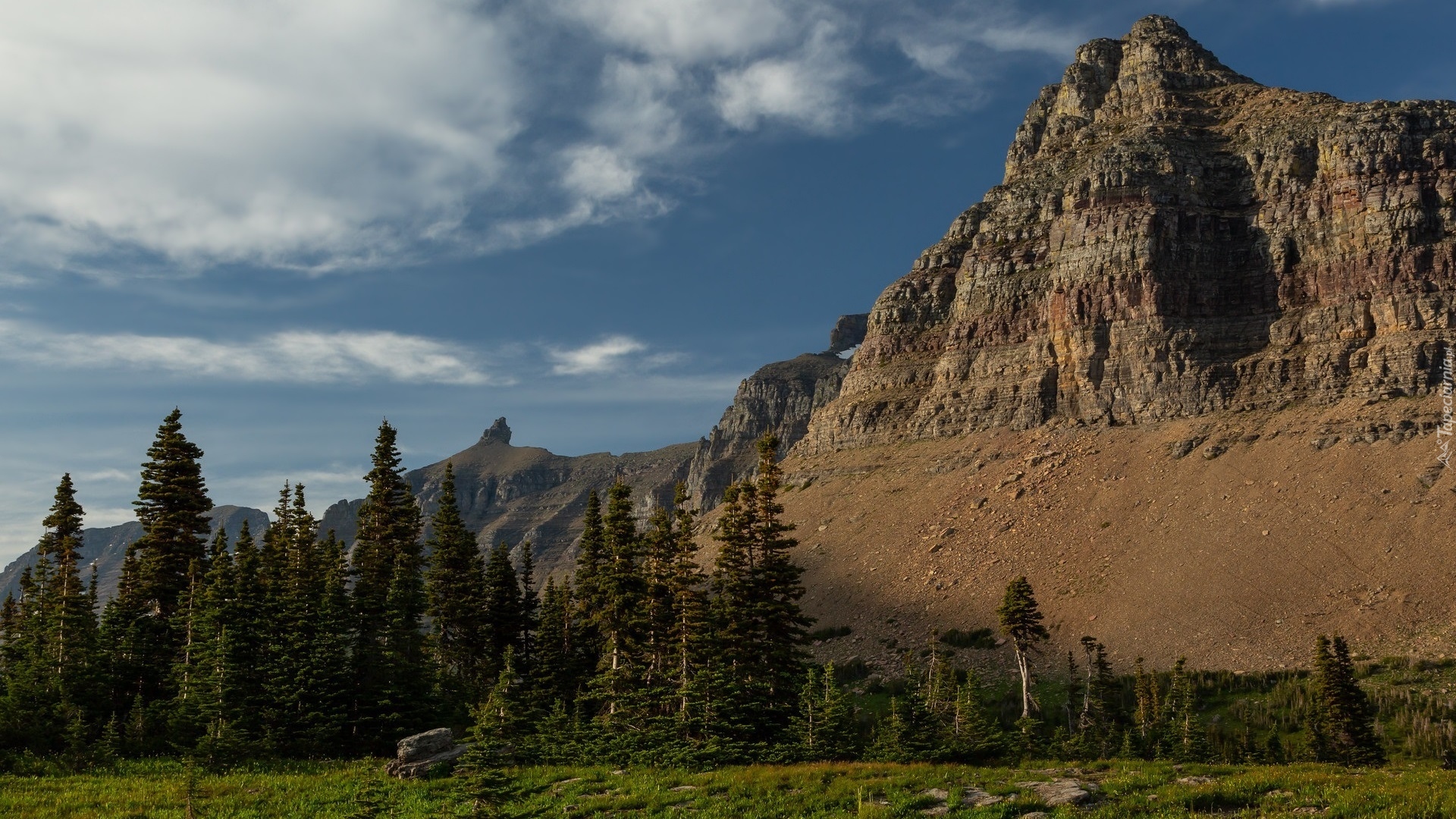 Góry, Skały, Drzewa, Świerki, Trawa, Park Narodowy Glacier, Montana, Stany Zjednoczone