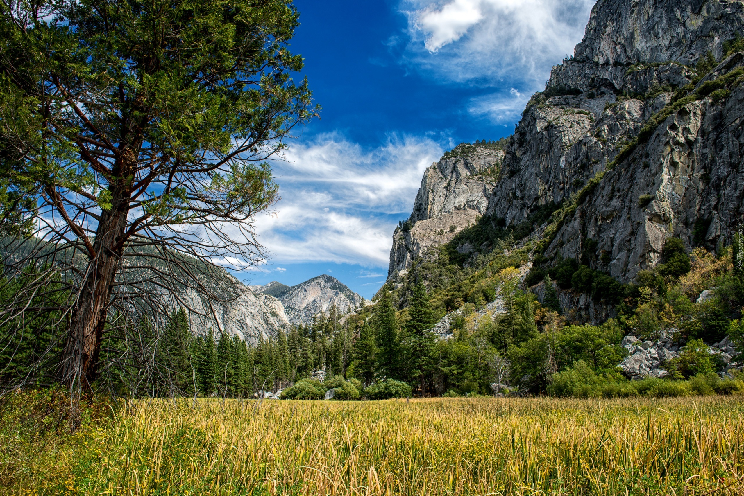 Park Narodowy Kings Canyon, Kalifornia, Góry