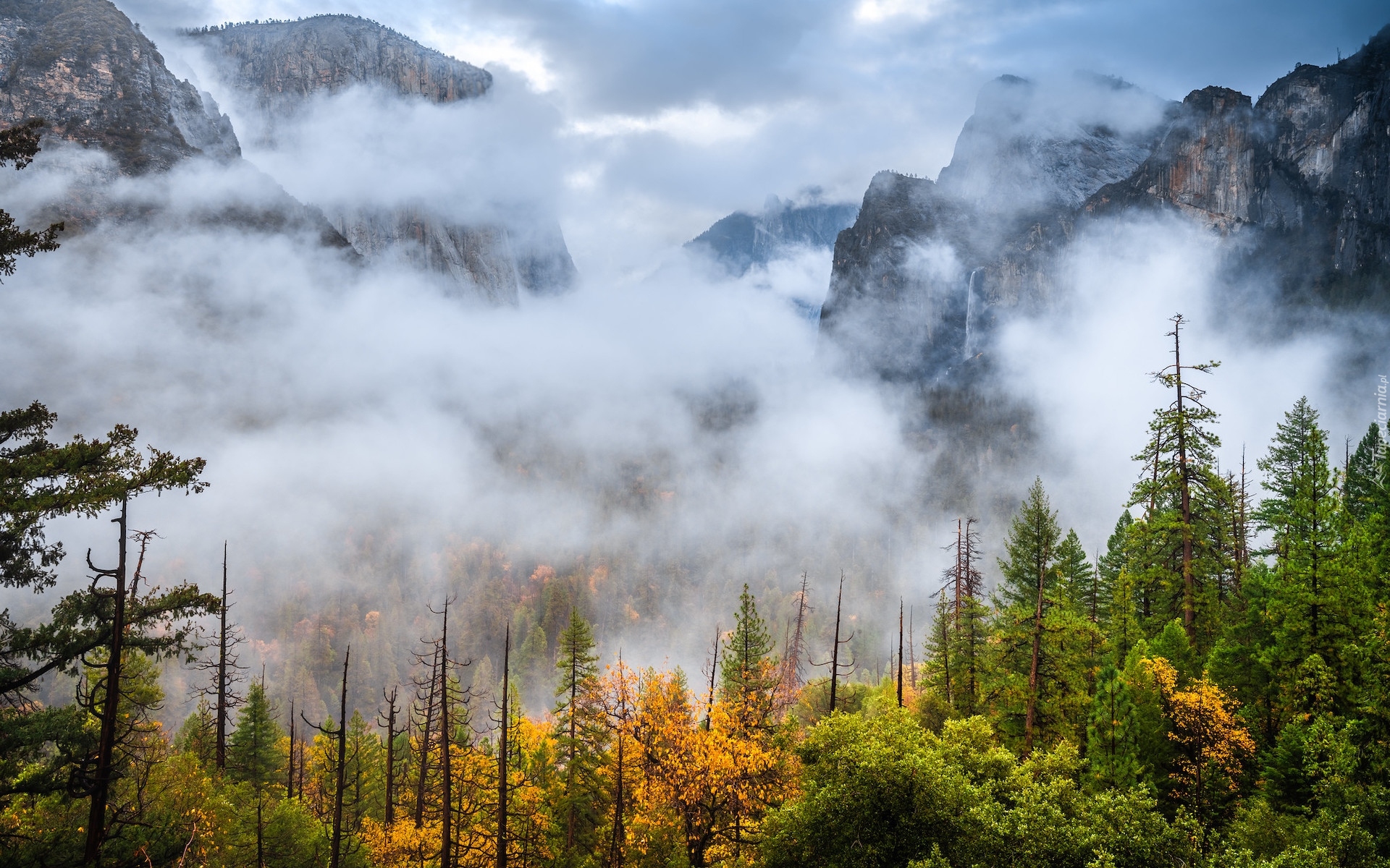 Stany Zjednoczone, Kalifornia, Góry, Drzewa, Lasy, Jesień, Mgła, Park Narodowy Yosemite