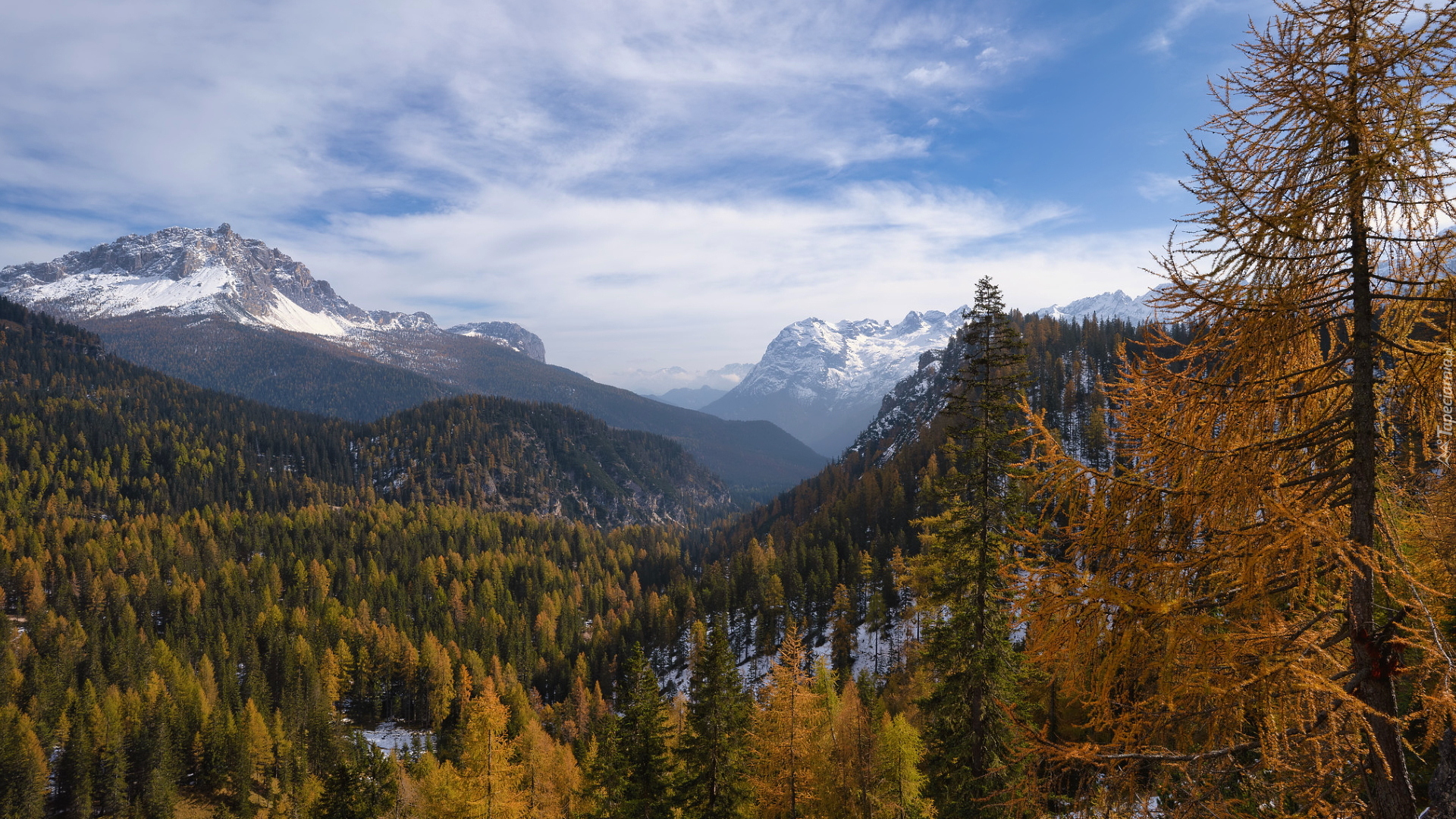 Ośnieżone, Szczyty, Góry, Dolomity, Dolina, Lasy, Drzewa, Jesień, Południowy Tyrol, Włochy