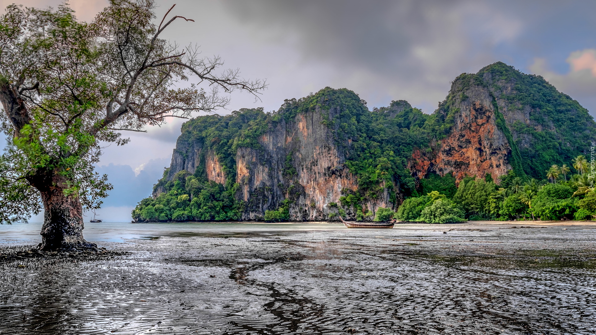 Góry, Zatoka East Railay Bay, Drzewo, Łódki, Ao Nang, Krabi, Tajlandia