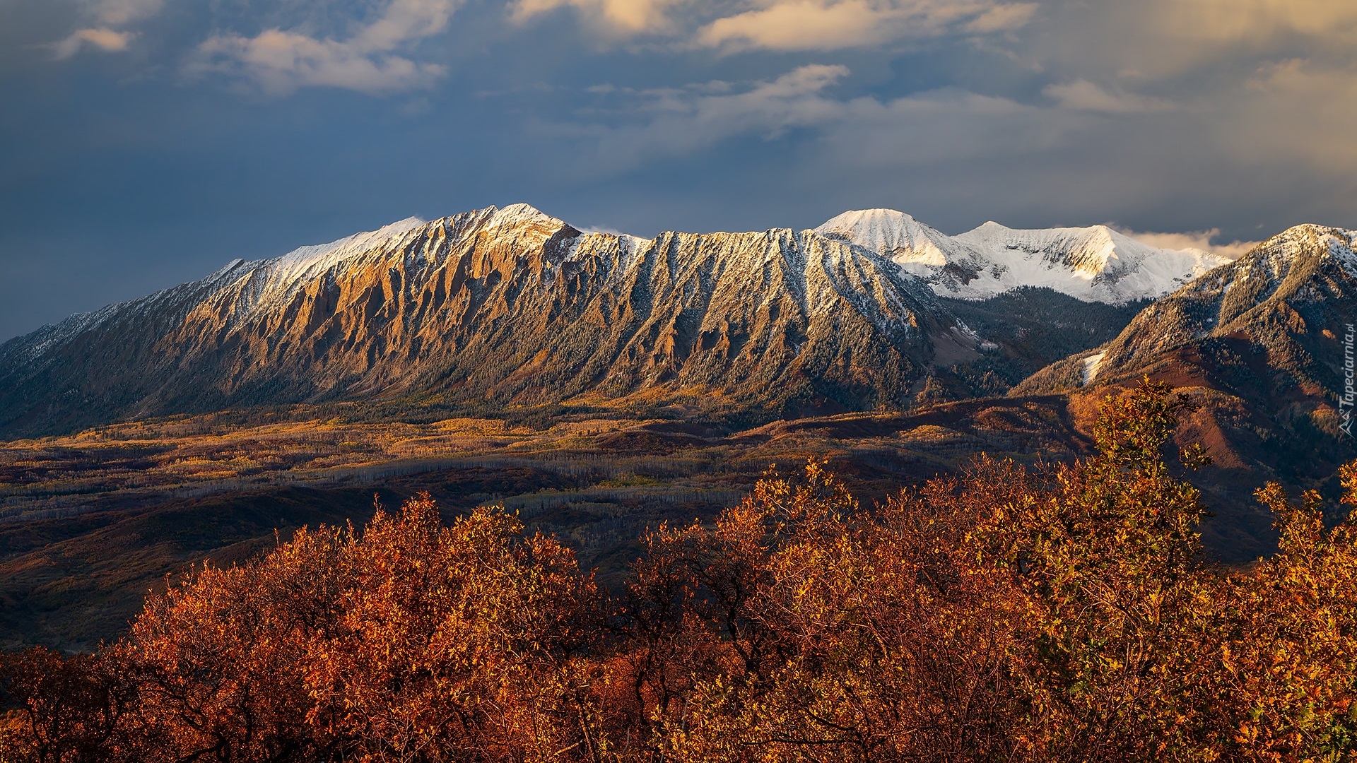 Góry, West Elk Mountains, Brązowe, Krzewy, Przełęcz, Kebler Pass, Kolorado, Stany Zjednoczone