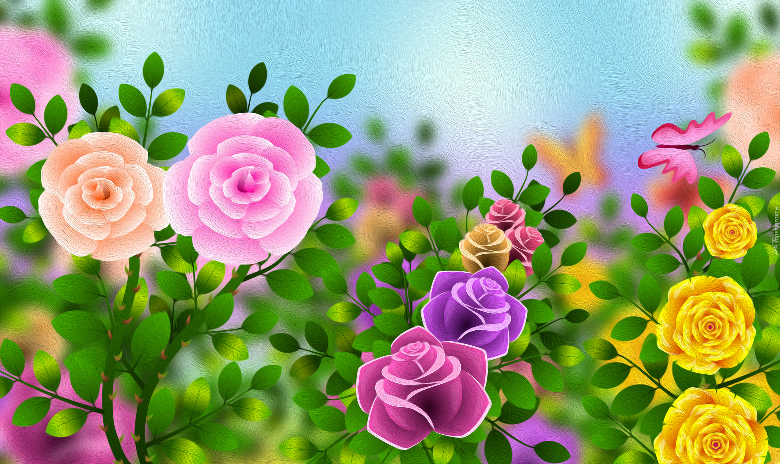 Kwiaty, Grafika 2D