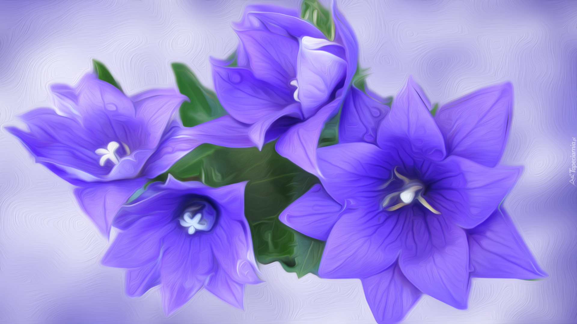 Kwiaty, Niebieskie