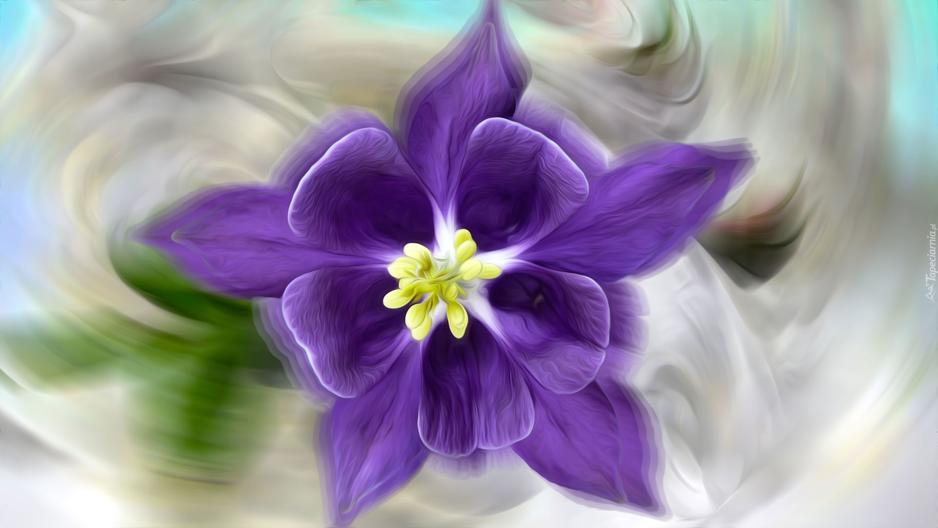 Kwiat, Fioletowy, Grafika