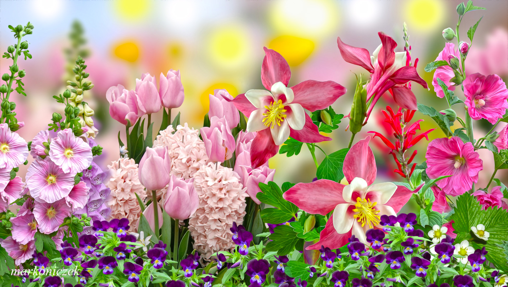 Kwiaty, Tulipany, Malwy, Hiacynty, Orliki, Grafika