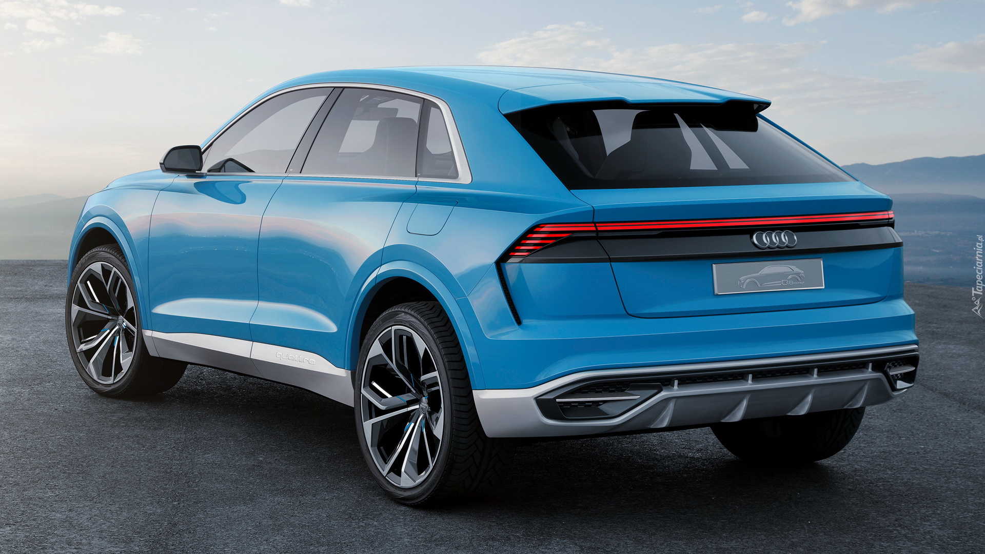 Niebieskie, Audi Q8