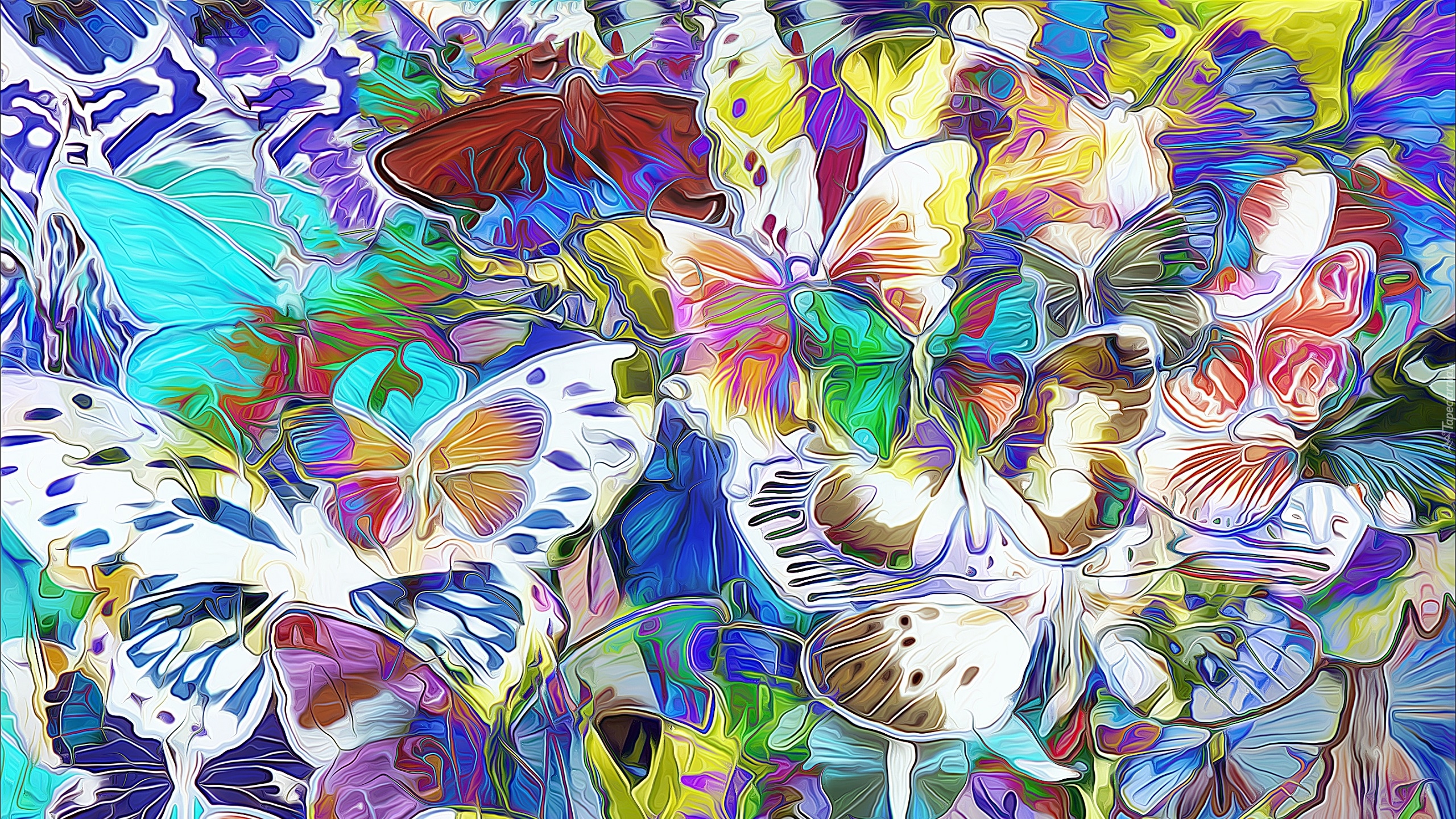 Motyle, Grafika, Fractalius