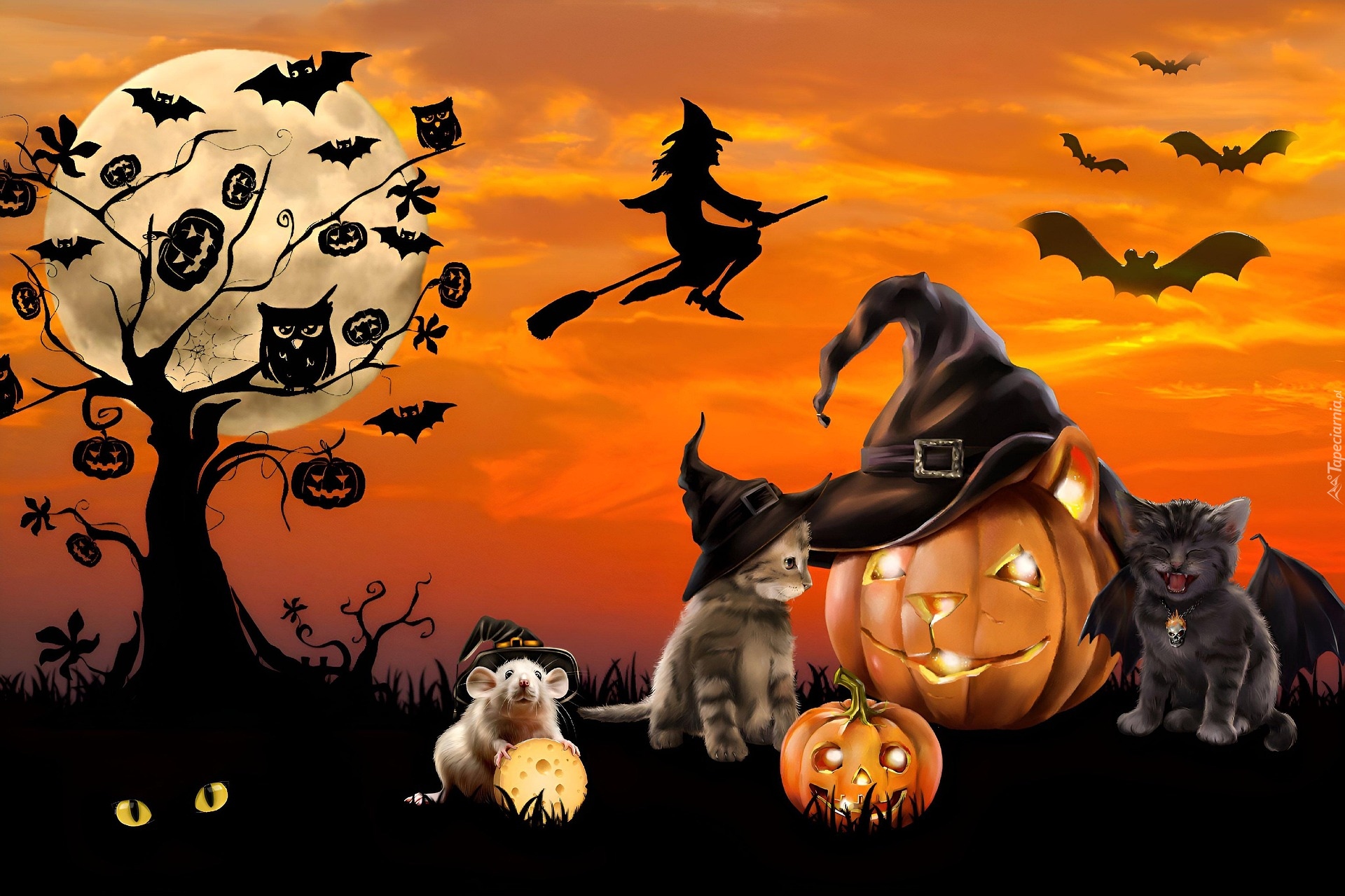 Halloween, Grafika 2D